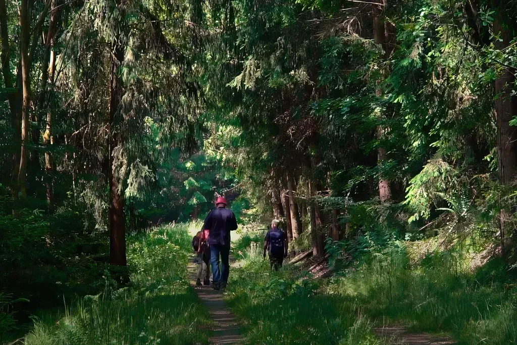 Grenzgänger - Eine Wanderung entlang der ehemaligen innerdeutschen Grenze.