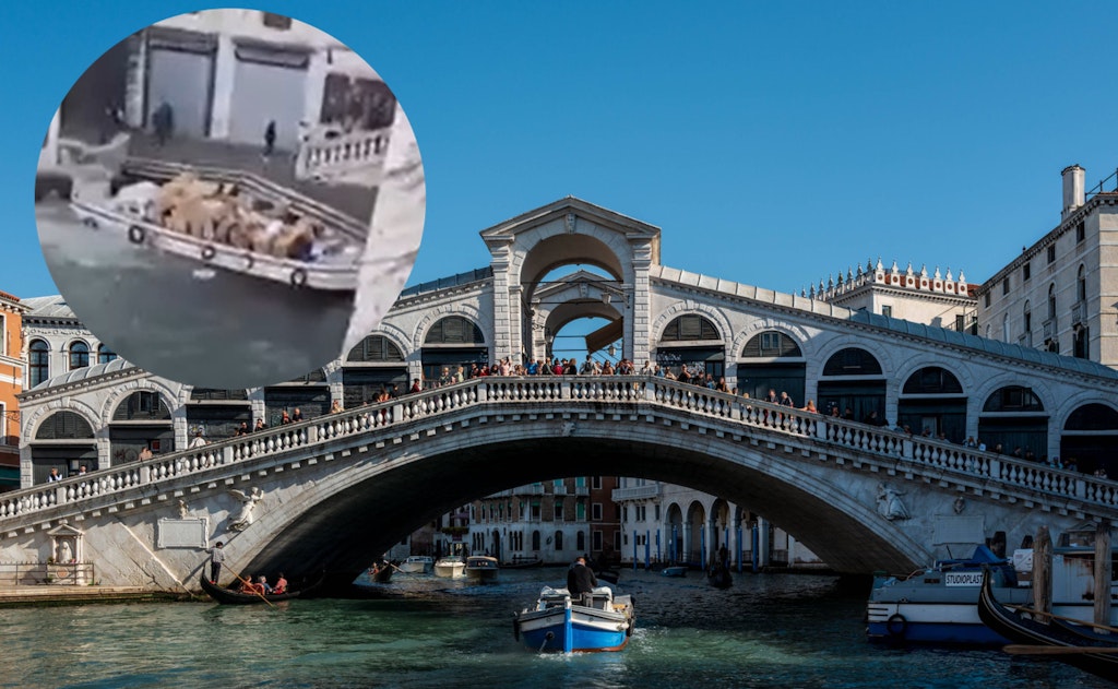 Irres-Weihnachts-Shopping-Frau-klaut-Boot-und-kracht-in-Rialto-Br-cke