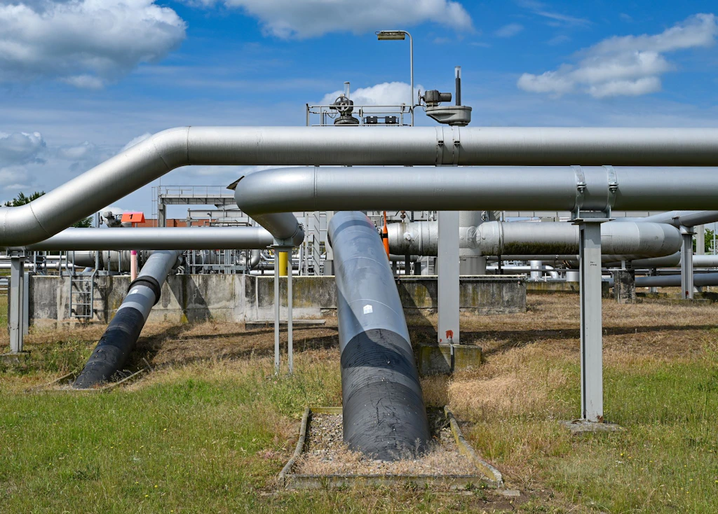 Alman çevre yardımı operatörleri suç teşkil eden davranışlarla suçluyor