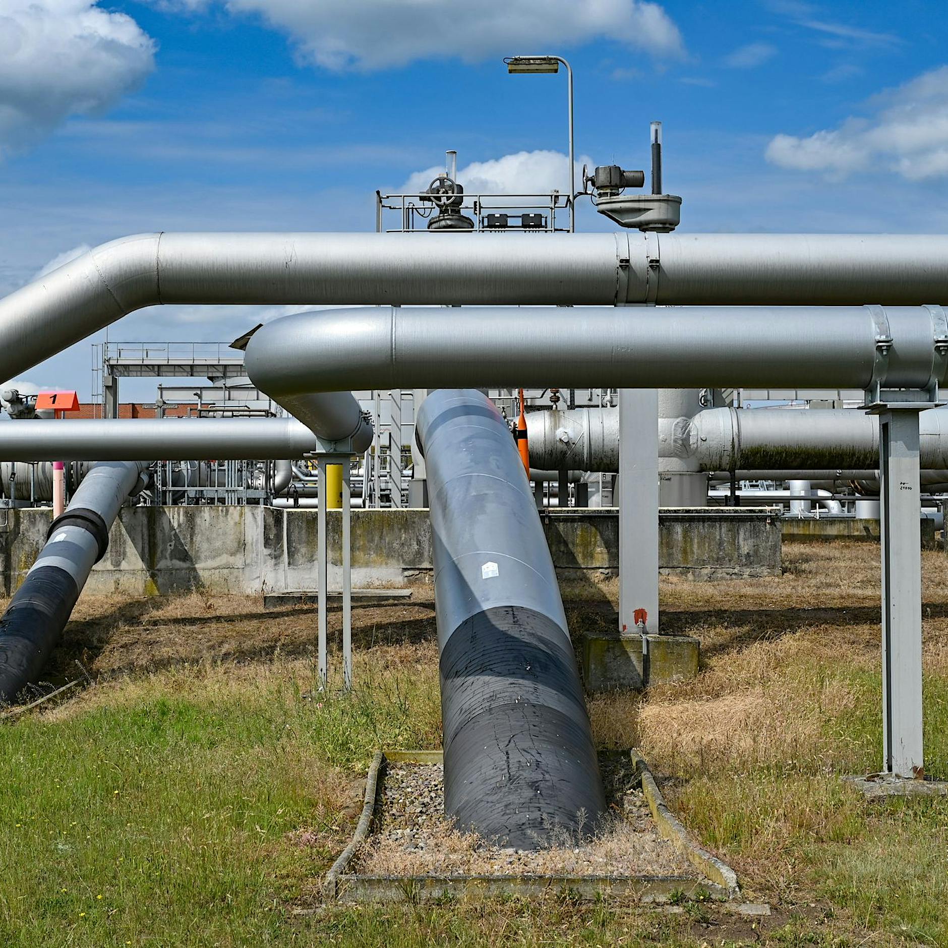 Ermittlungen nach Pipeline-Havarie: Deutsche Umwelthilfe wirft Betreiber strafbares Verhalten vor