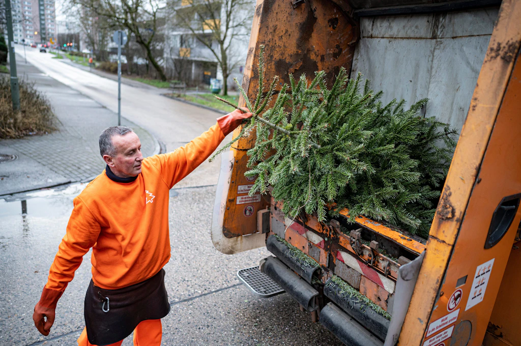 Es ist Weihnachten und die BSR will uns die Tannen wegnehmen