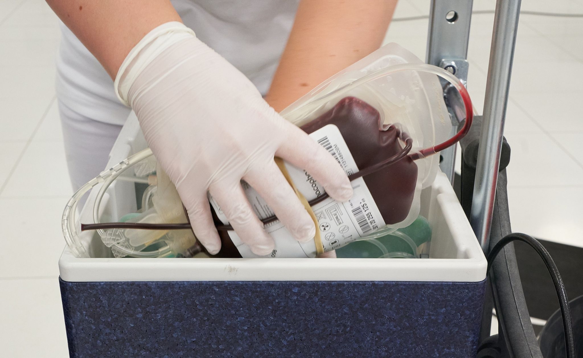 Hoher Bedarf: Warum Berlin zum Jahresende dringend Blutspenden braucht