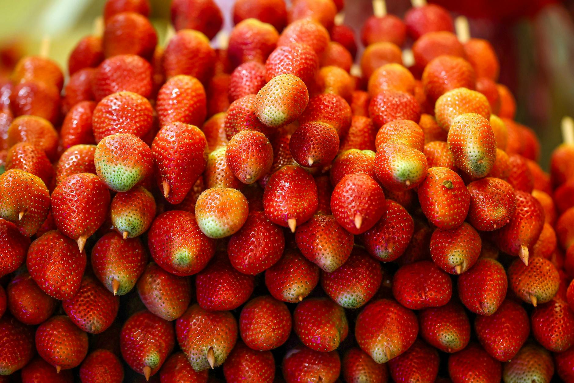 Der Gin entzieht den Erdbeeren teilweise die Farbe
