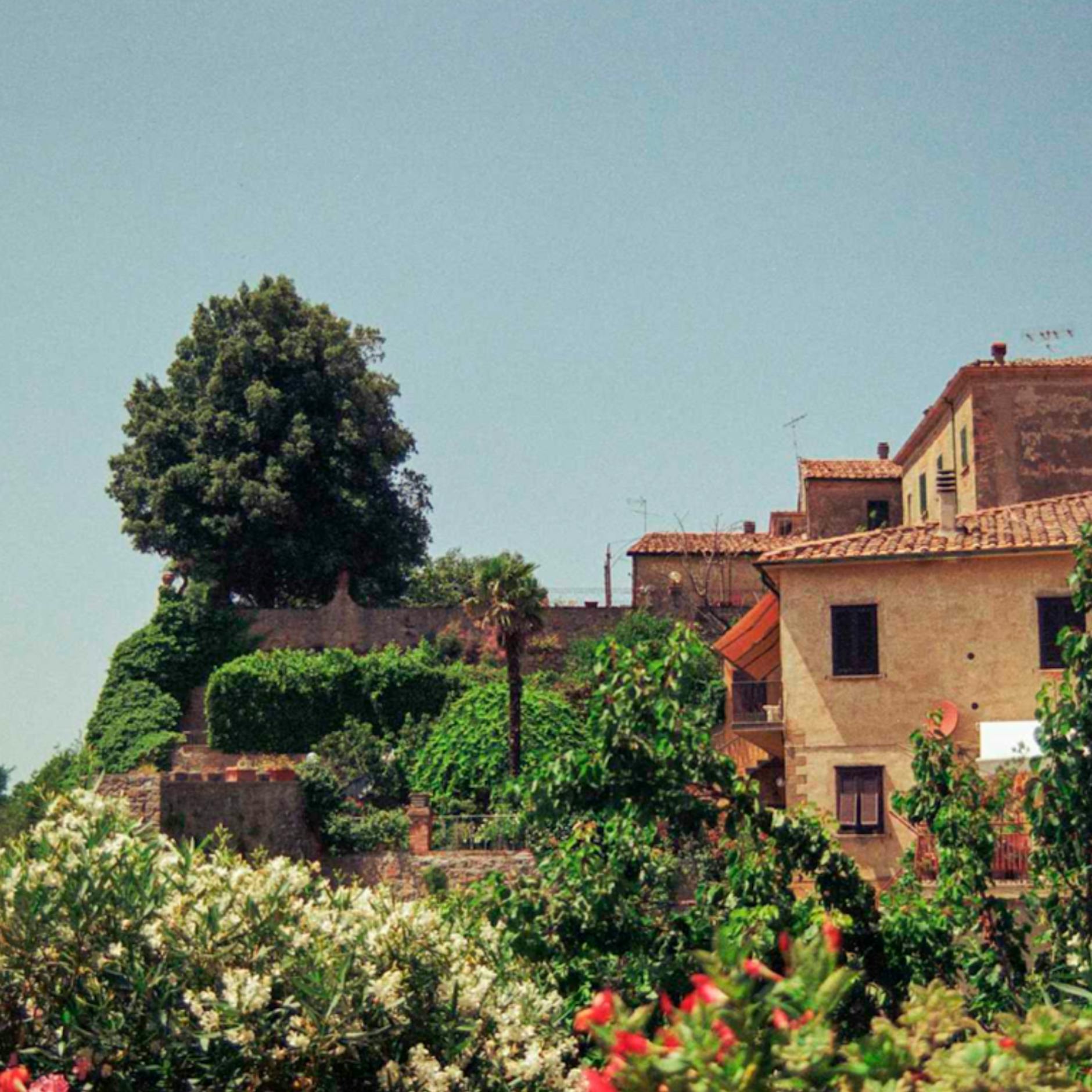 Image - Wenn Ferienhäuser bezahlbar werden: Wie Co-Ownership den Traum der Urlaubsimmobilie neu definiert