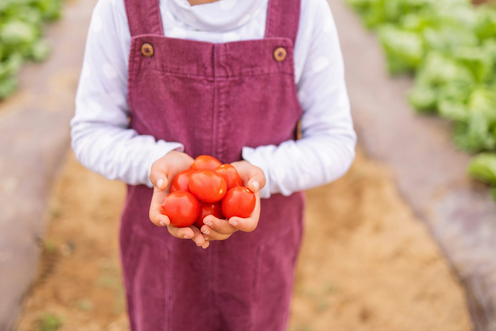 Ein Kind hält Tomaten in der Hand. Wie ungesund ist vegane Ernährung für Kinder wirklich?