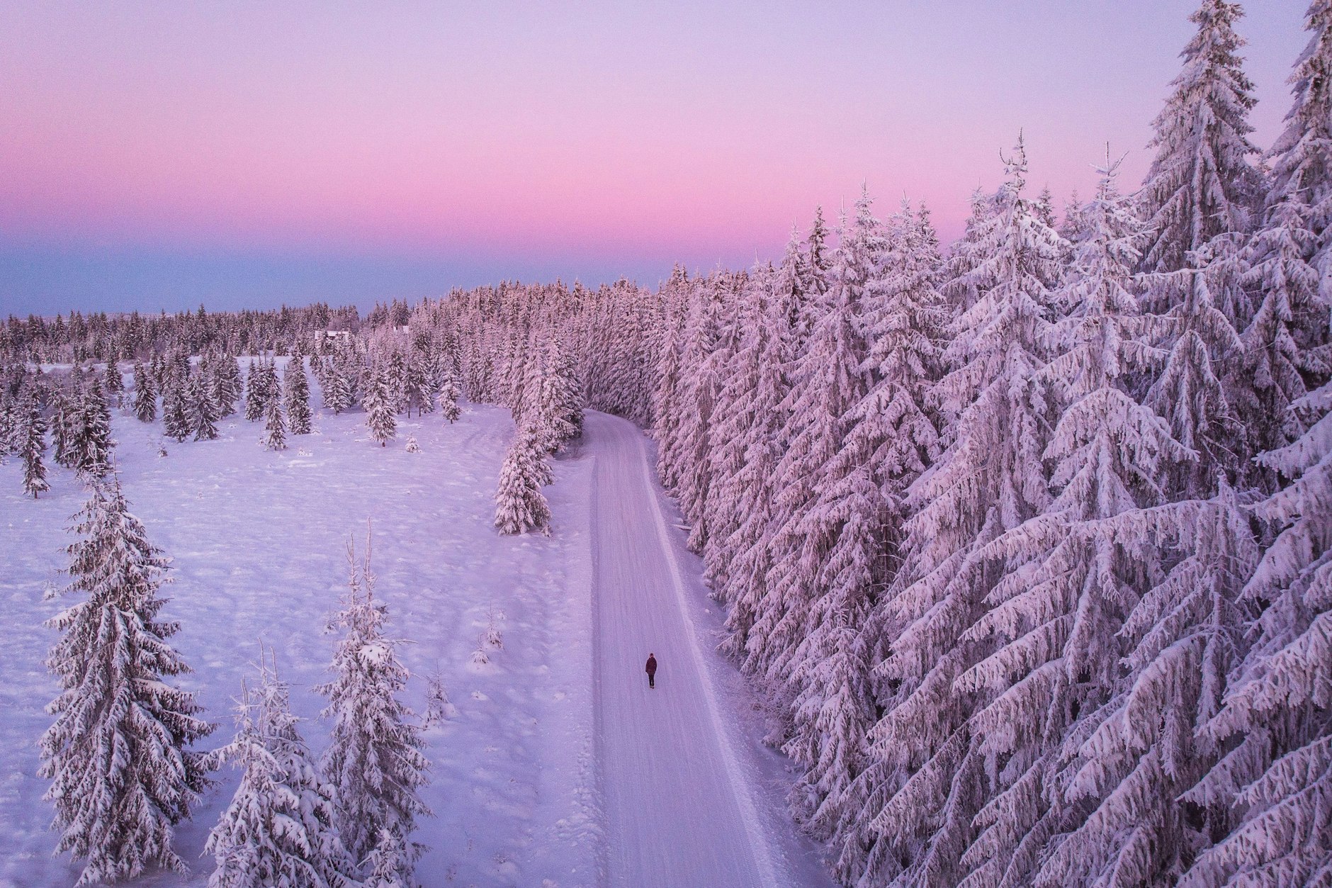 Ein unbeschrittener Weg liegt vor Ihnen. Ihr Horoskop verrät, wie Sie in diesem Jahr erste Schritte machen können.