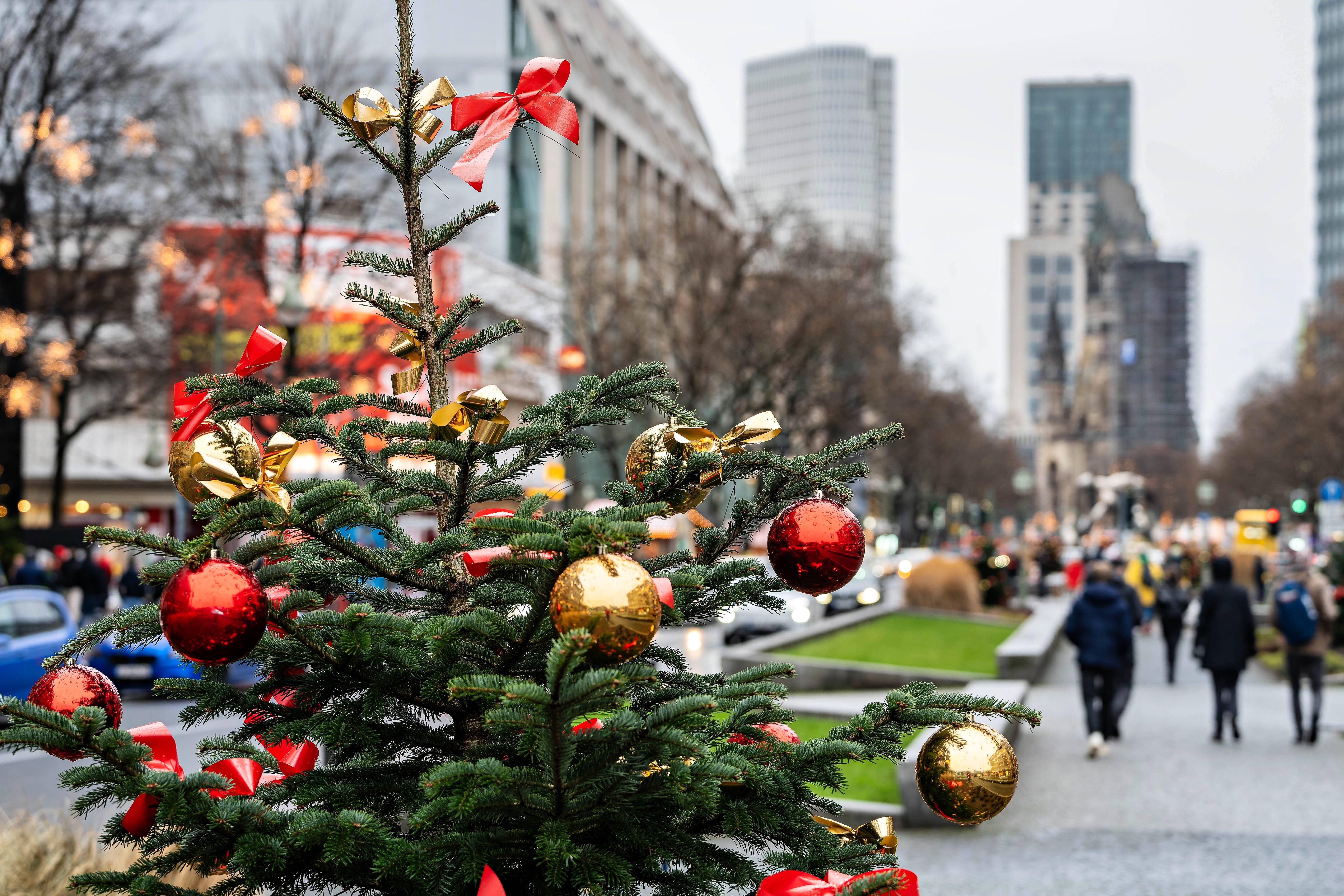 Image - Geschichte des Weihnachtsbaums: Fusion von heidnischem Brauch und christlichem Symbol