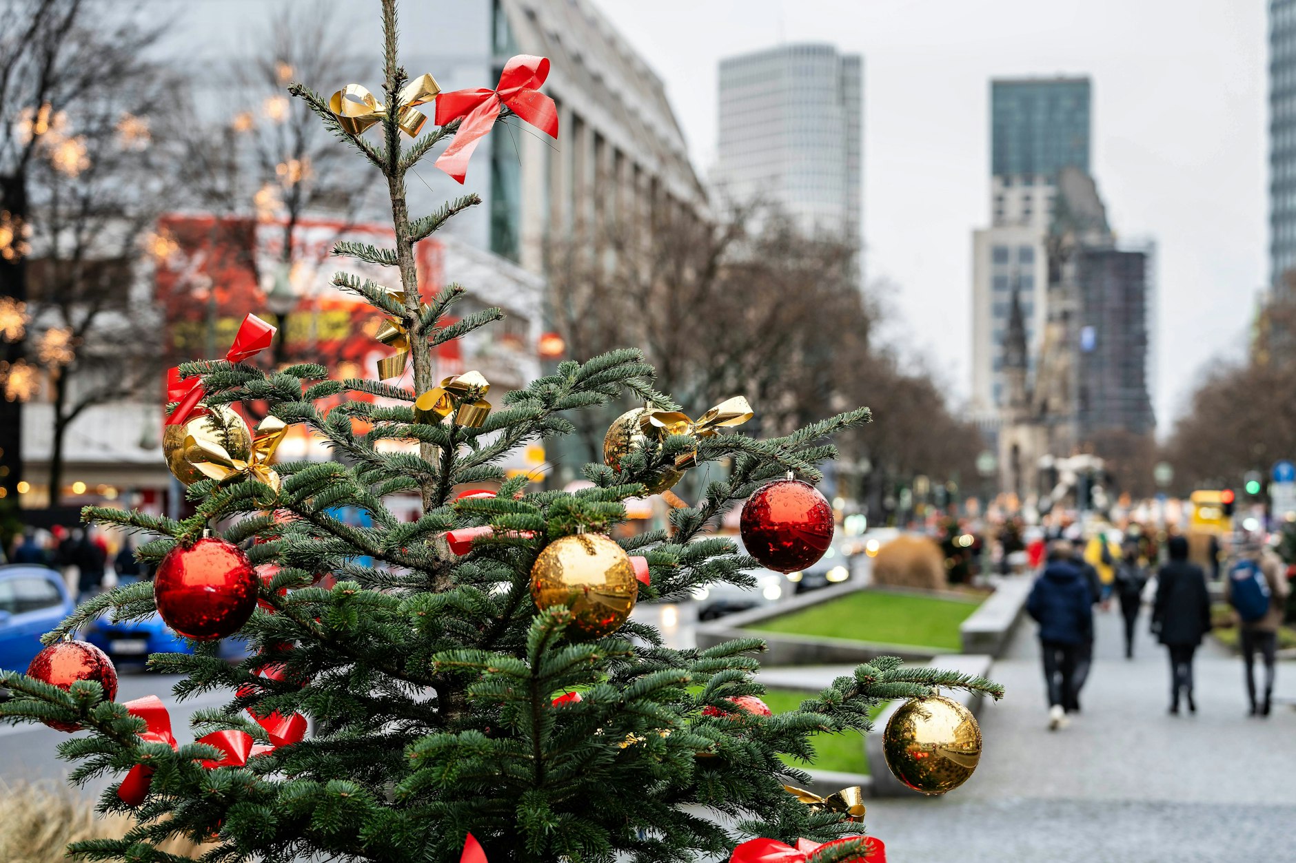 Der Tannenbaum als Fusion von germanischen Brauchtum und christlicher Tradition.