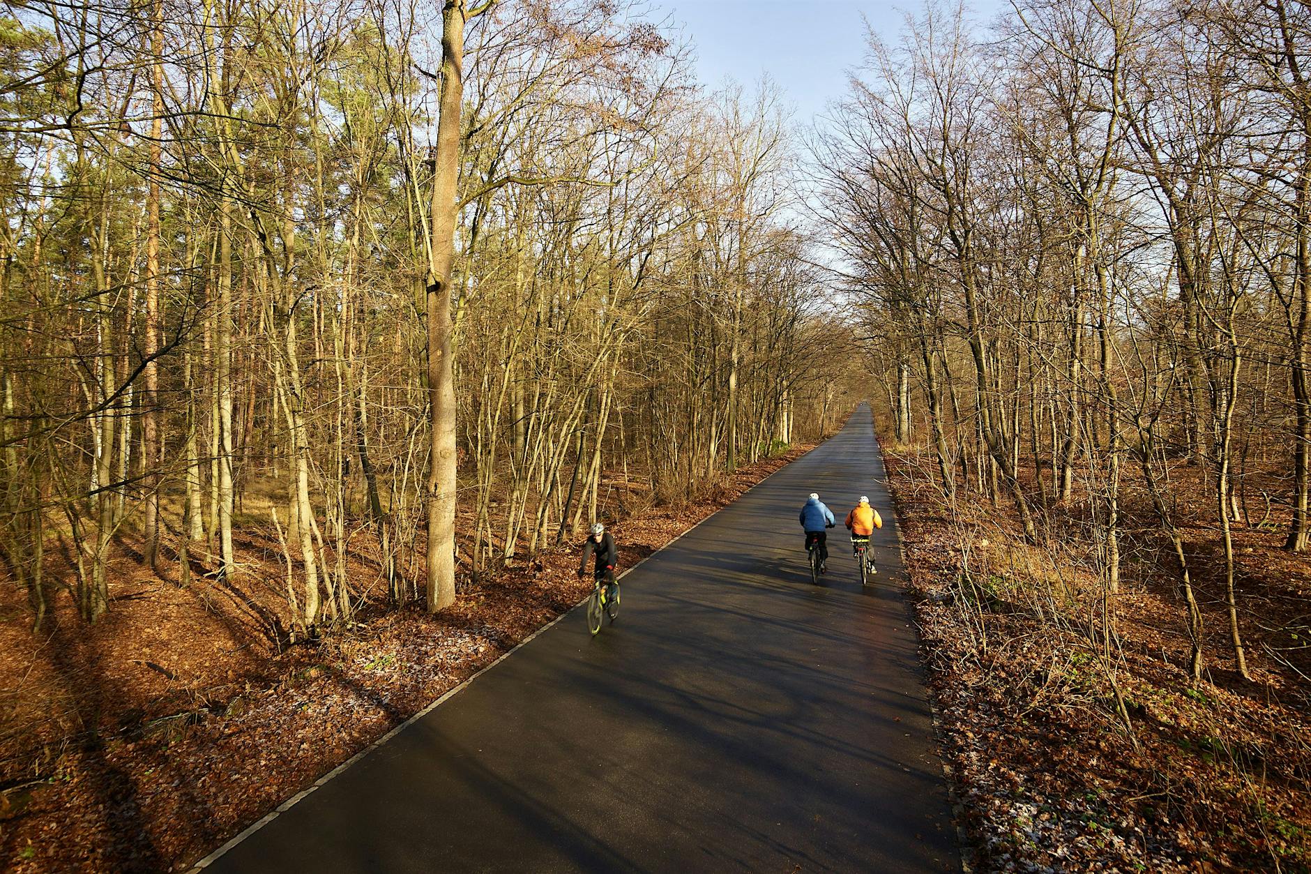 Berlin baut XXL-Radschnellweg vom Wannsee zum Kudamm