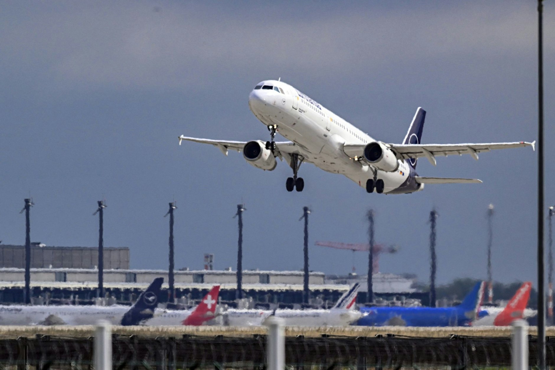 Ein Airbus der Fluggesellschaft Lufthansa nach Frankfurt am Main hebt vom BER in Schönefeld ab. Die Region wünscht sich mehr Interkontinentalverbindungen.