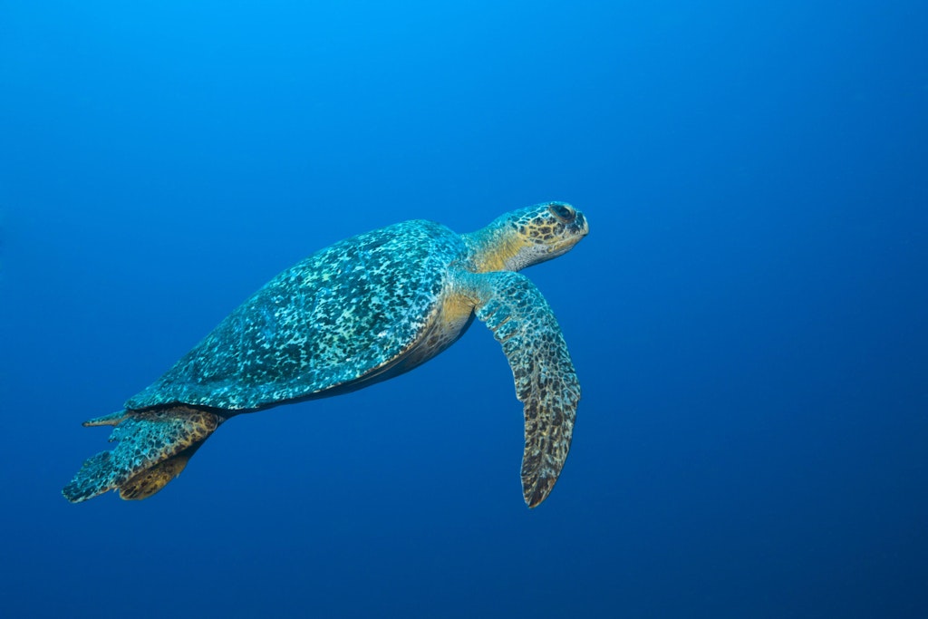 die-zehn-besten-nachrichten-aus-2025