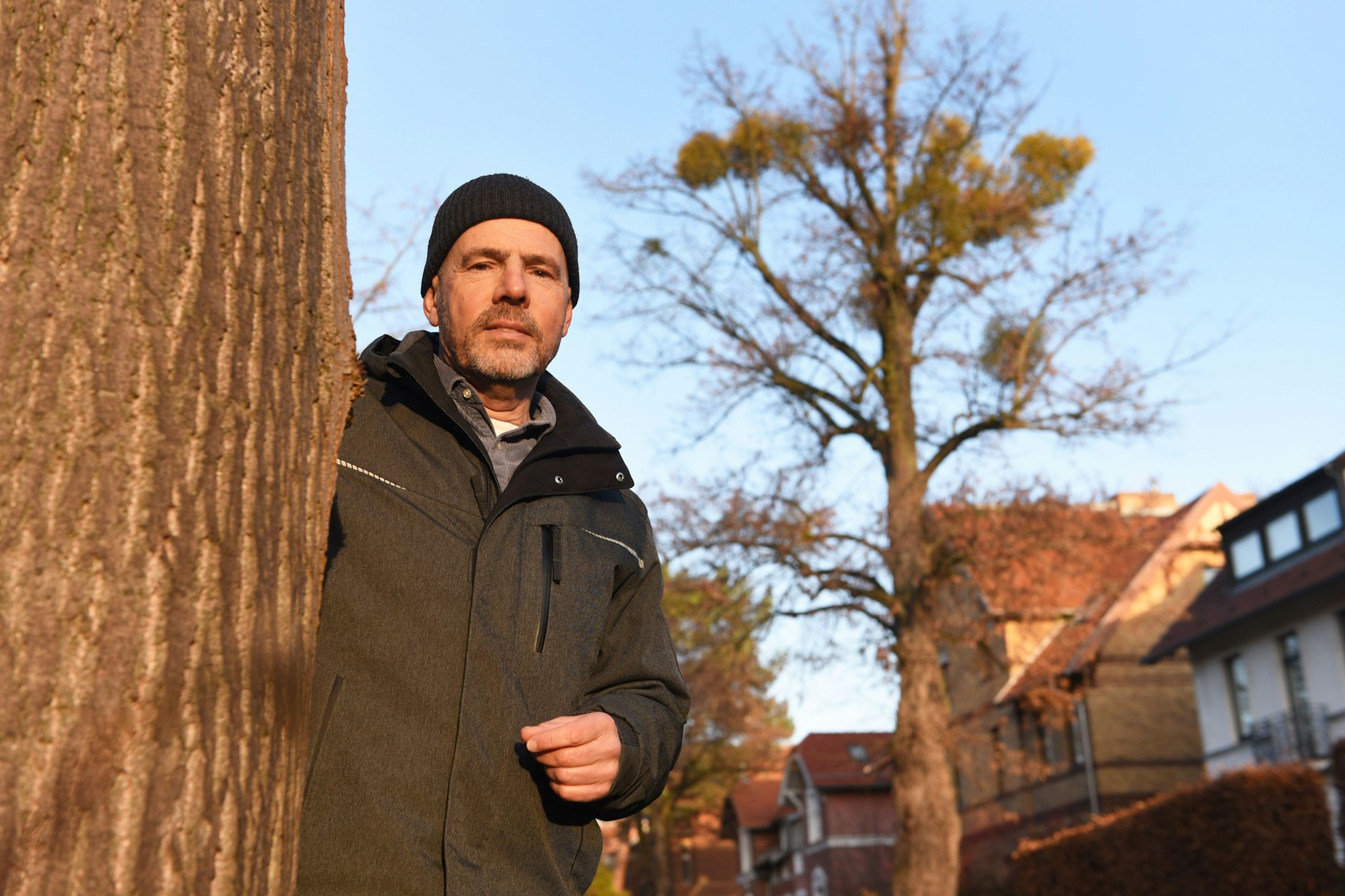 Misteln – Glücksbringer und Plage. Derk Ehlert vor einem massiv befallenen Baum im Patschkauer Weg in Lichterfelde.