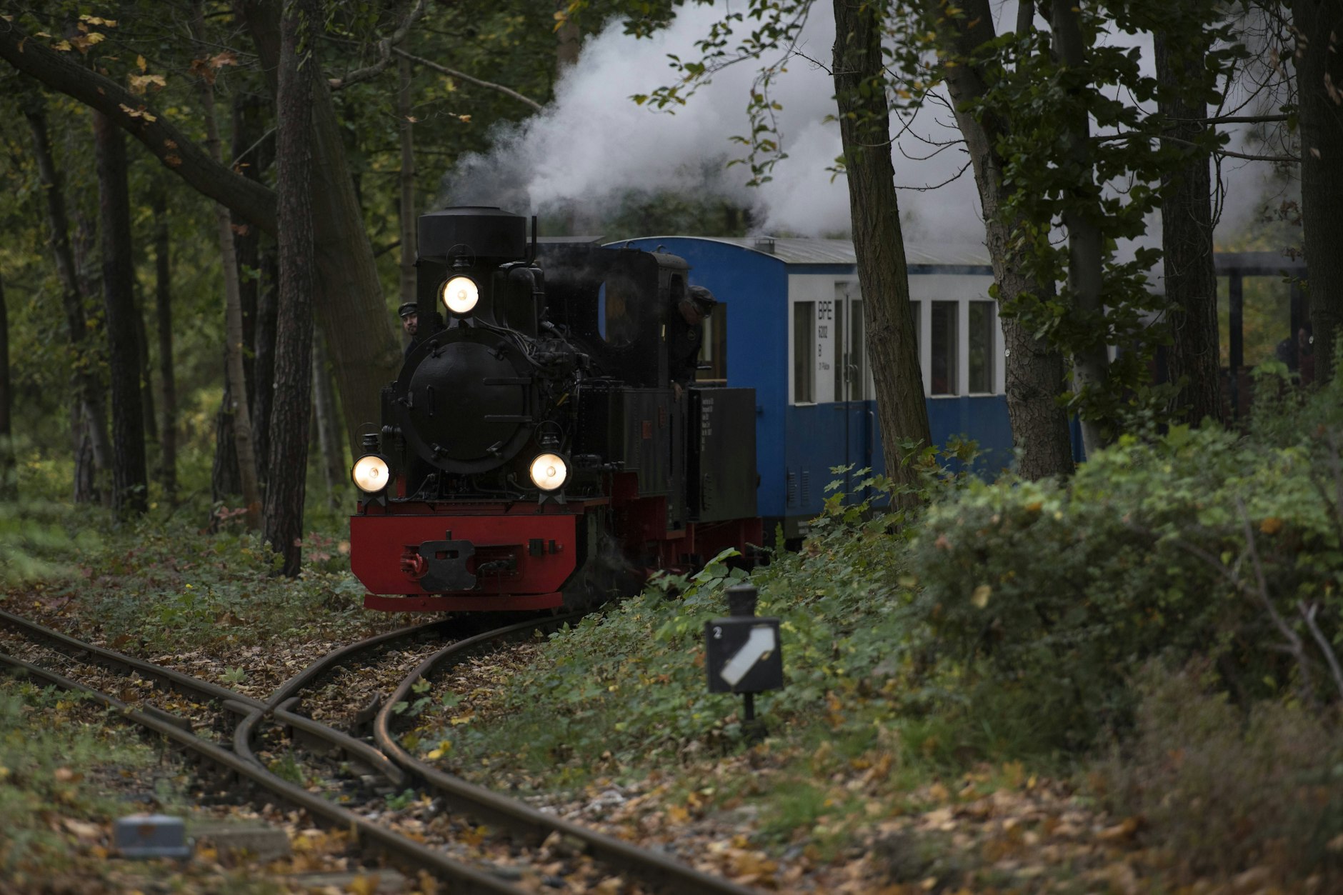 Die Parkeisenbahn Wuhlheide wird von einer zauberhaften Dampflok gezogen.