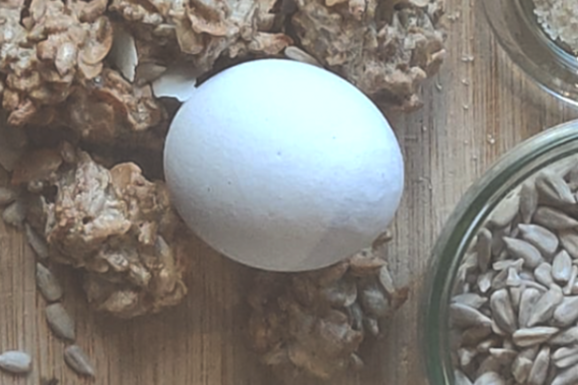 Eiweiß als Fitness-Boost im Keks