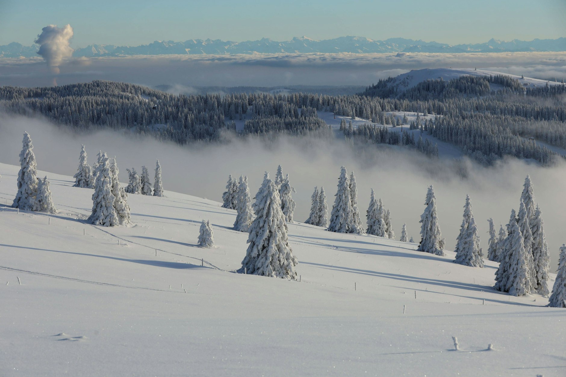 Der Feldberg in Baden-Württemberg. In der Schwarzwaldregion darf man sich in diesem Jahr auf weiße Weihnachten freuen.