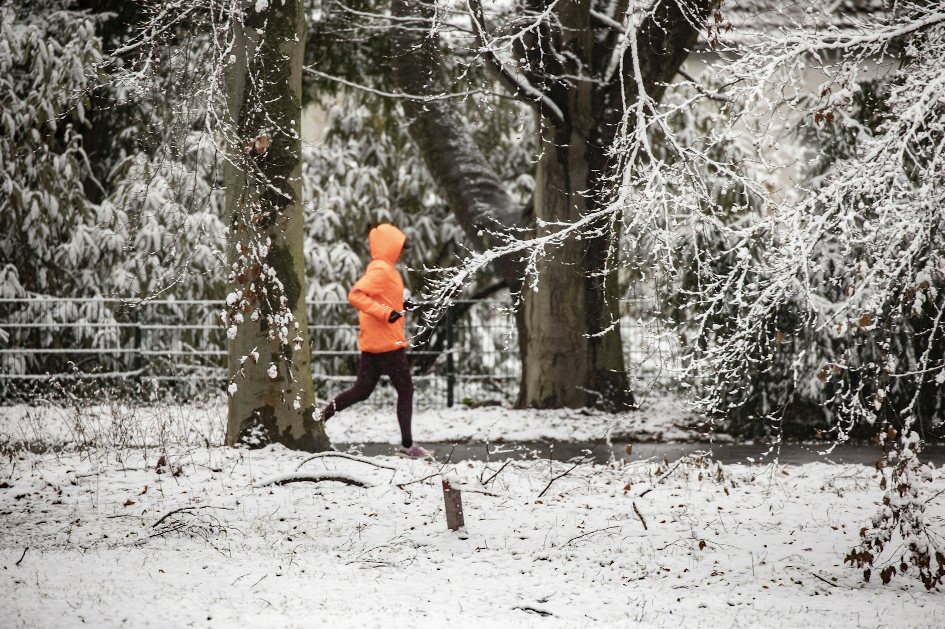 Ein Mann joggt im verschneiten Tiergarten in Berlin.