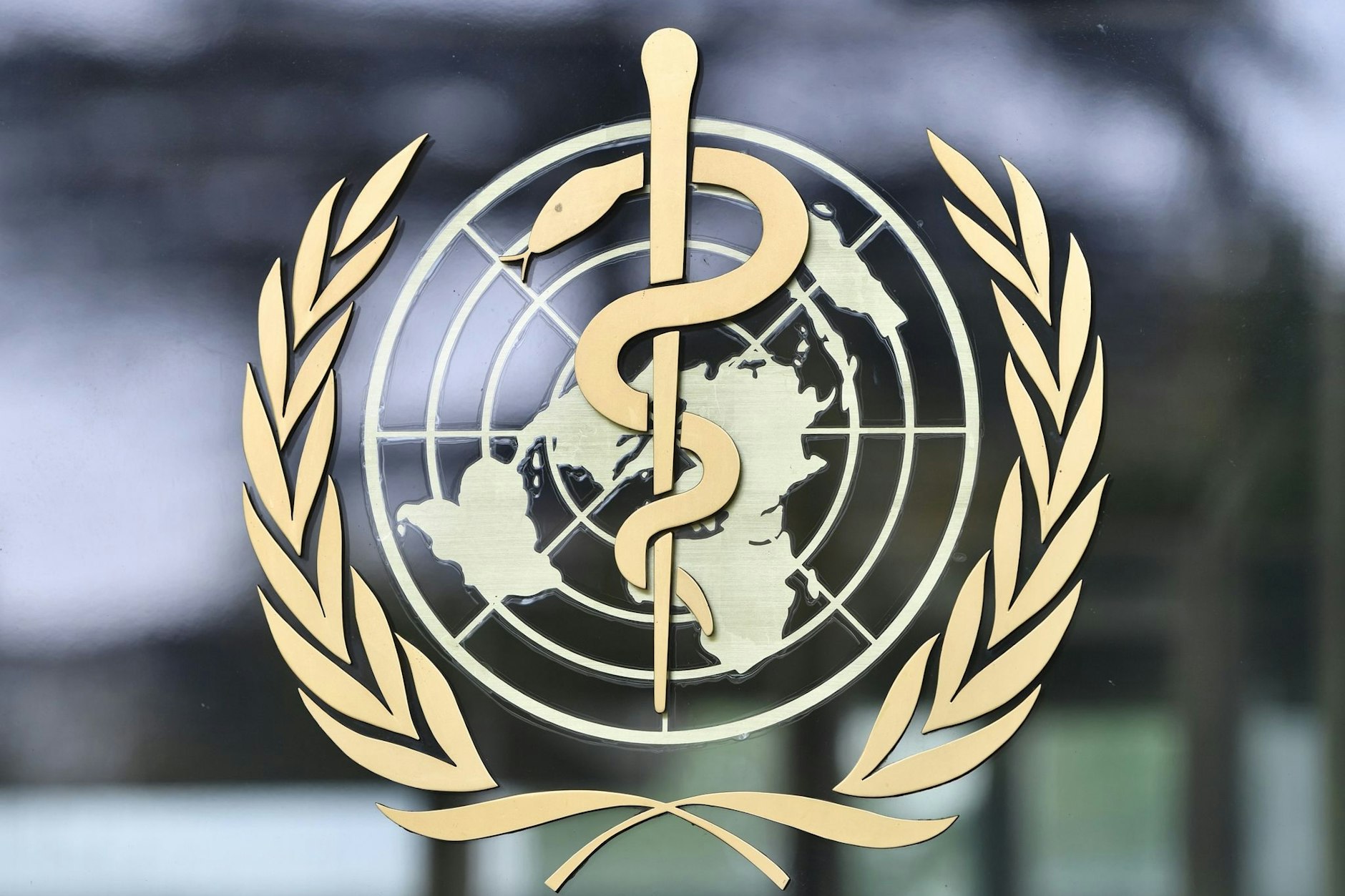 Die Weltgesundheitsorganisation (WHO) soll künftig bei Pandemien eine stärkere Rolle spielen.