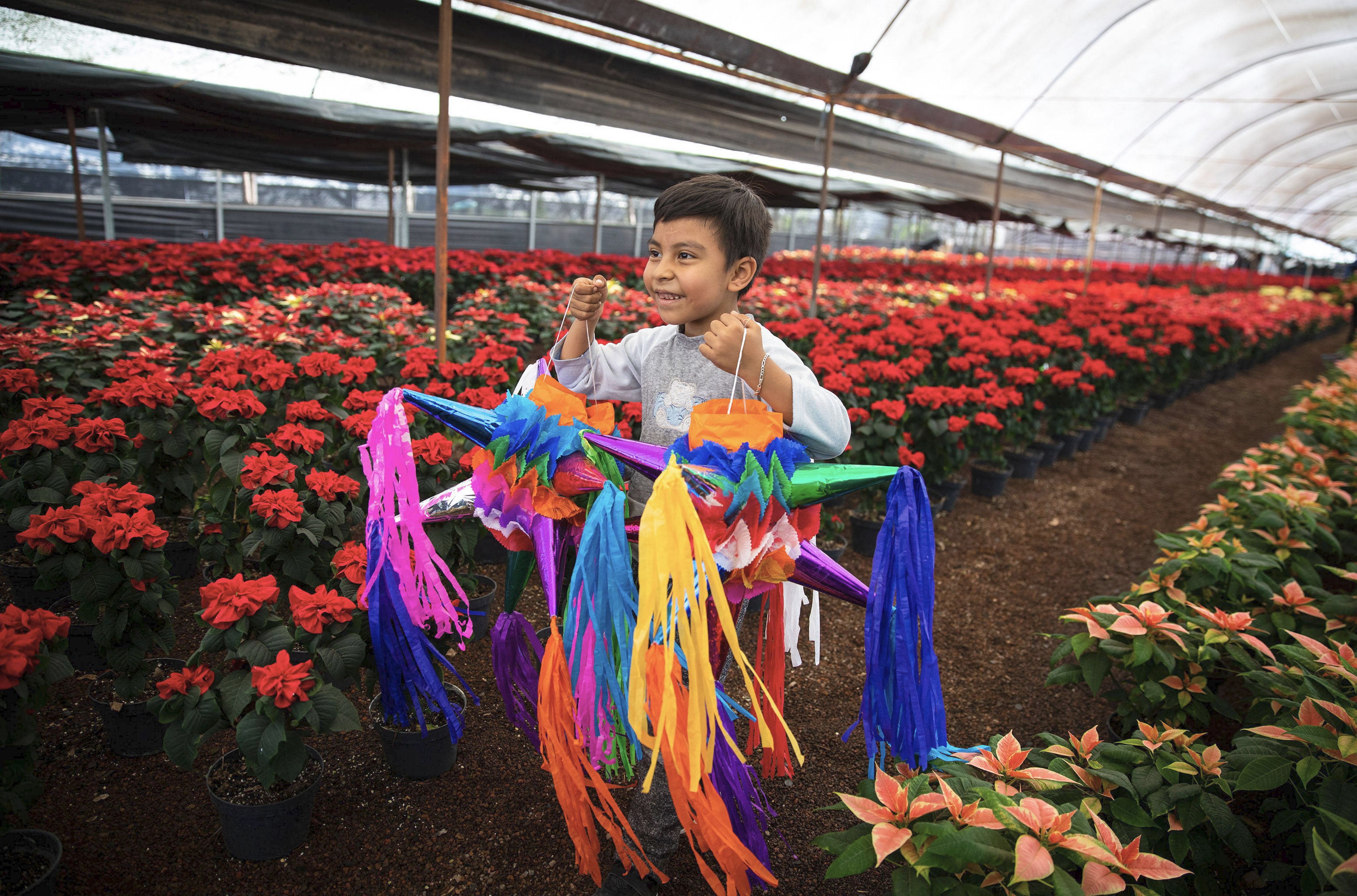 Weihnachten weltweit: Wenn Babbo Natale und Snegurotschka die Piñata killen