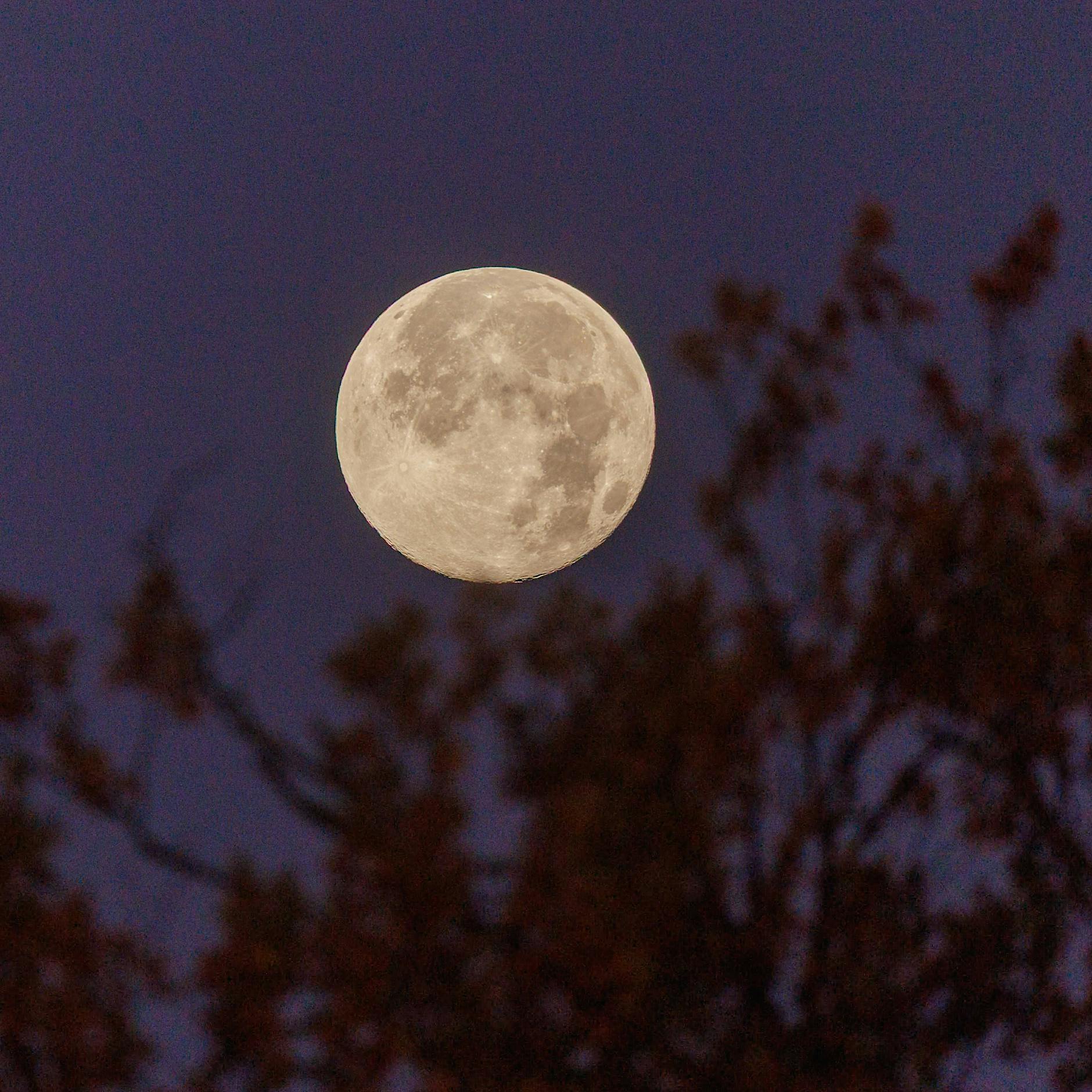 Russland will bis 2036 Kraftwerk auf dem Mond bauen
