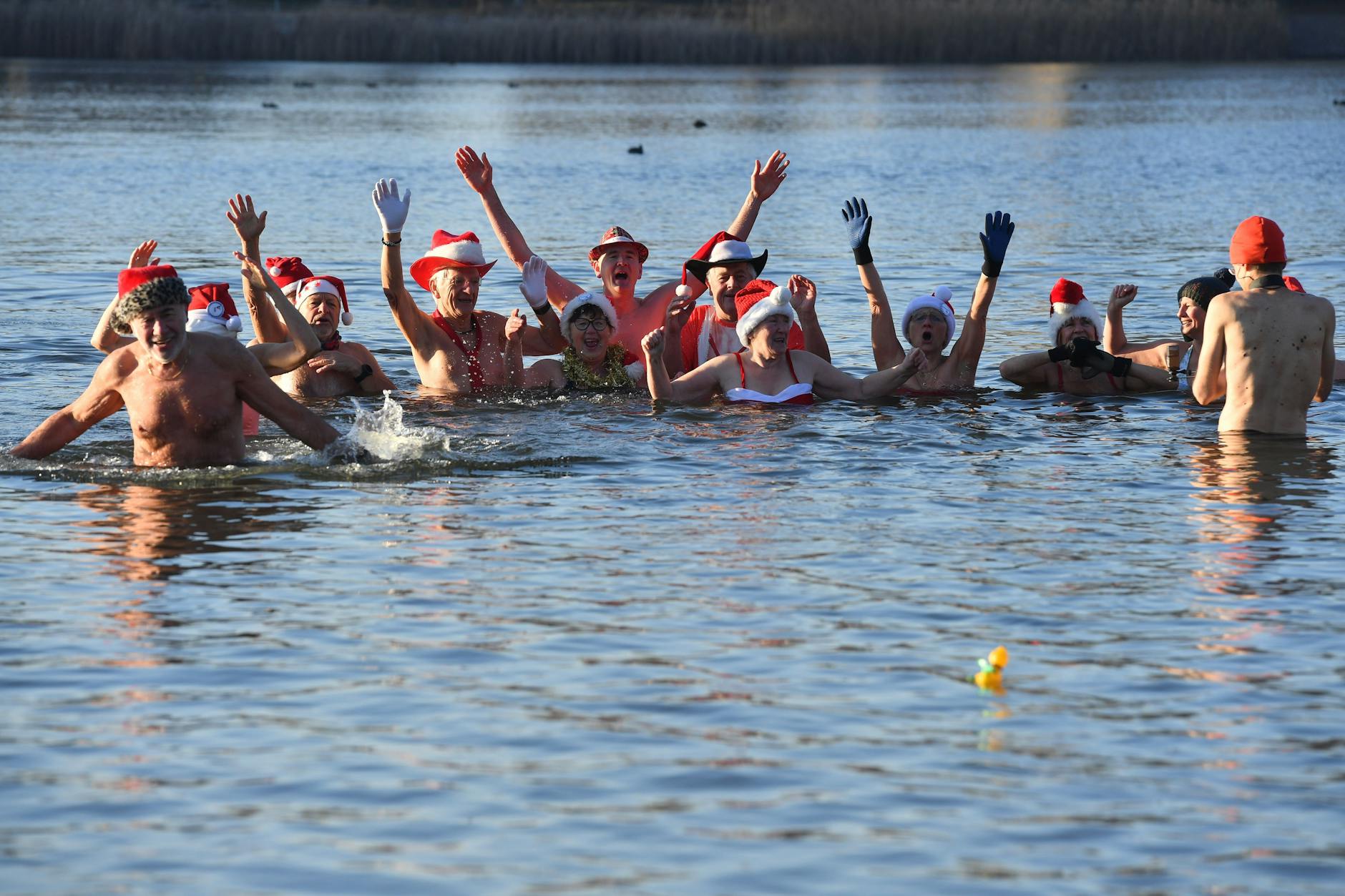 Zahlreiche Wasserfreunde nehmen am Weihnachtsbaden im Orankesee teil.