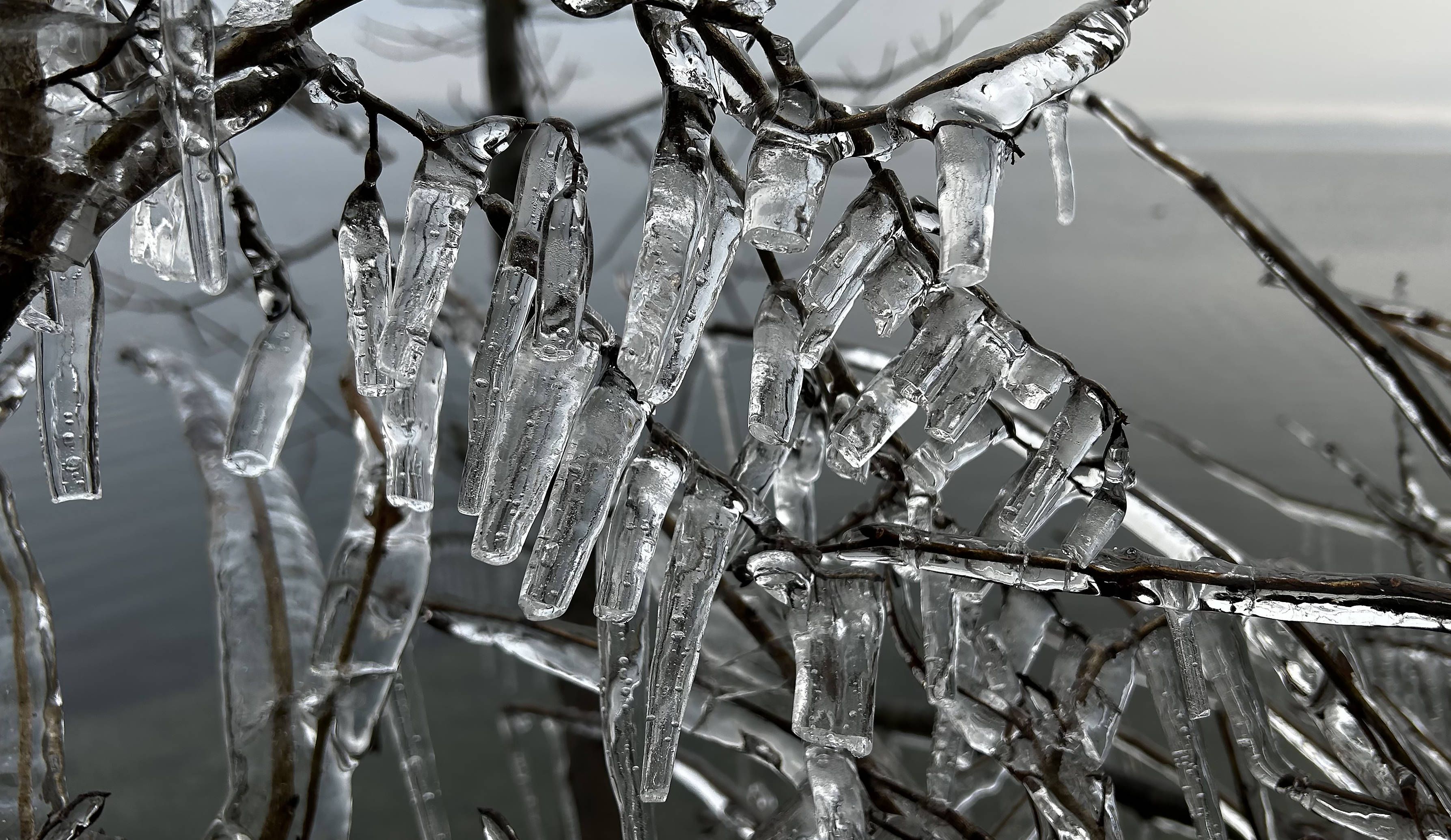 Image - Jetzt ist es offiziell: 2025 war kältestes Weihnachtsfest seit 15 Jahren