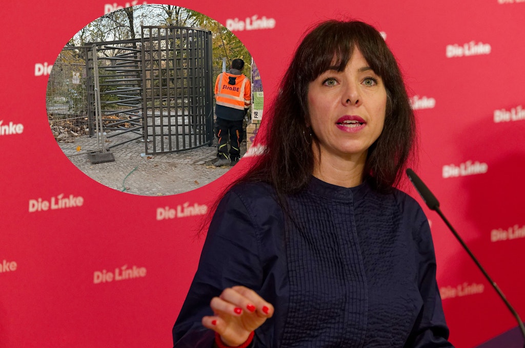 Linken-Spitze-st-nkert-gegen-G-rli-Zaun-Absolut-unsinnig-