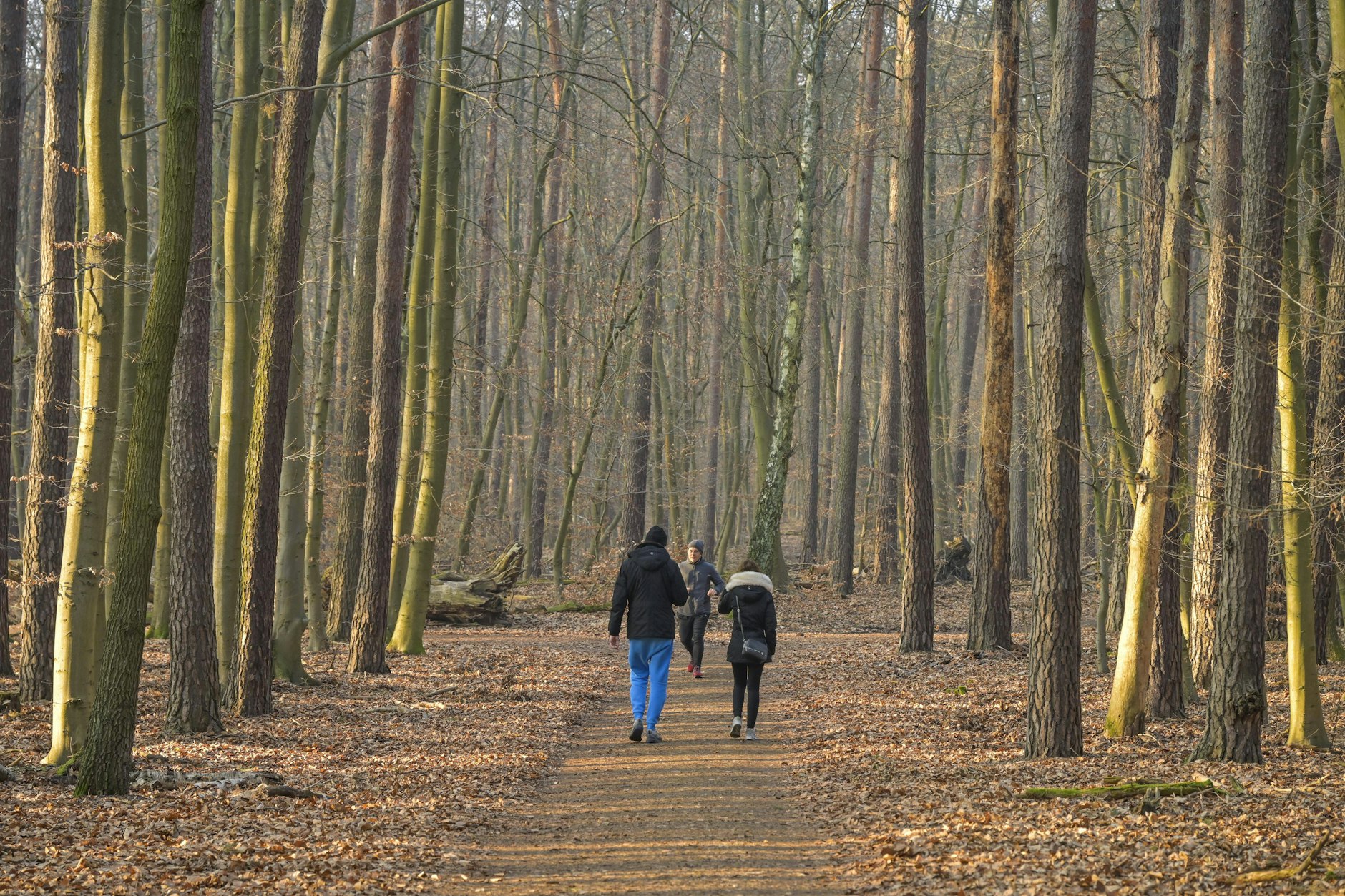 Der Spandauer Forst eignet sich prima für einen ruhigen Spaziergang.