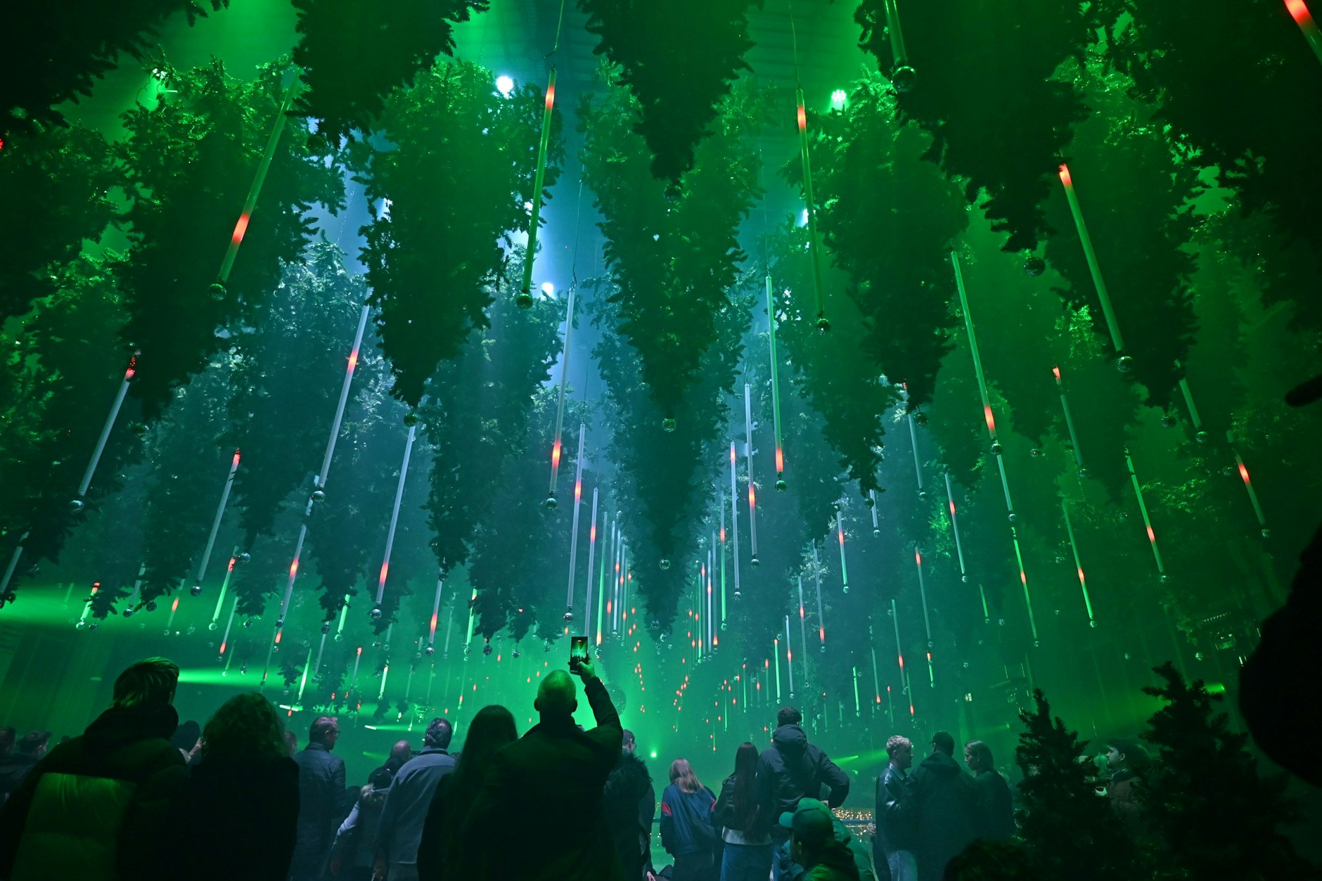 Die Kunst-Lichtinstallation „Dark Matter: Forest Winterlights“ ist sehr eindrucksvoll.