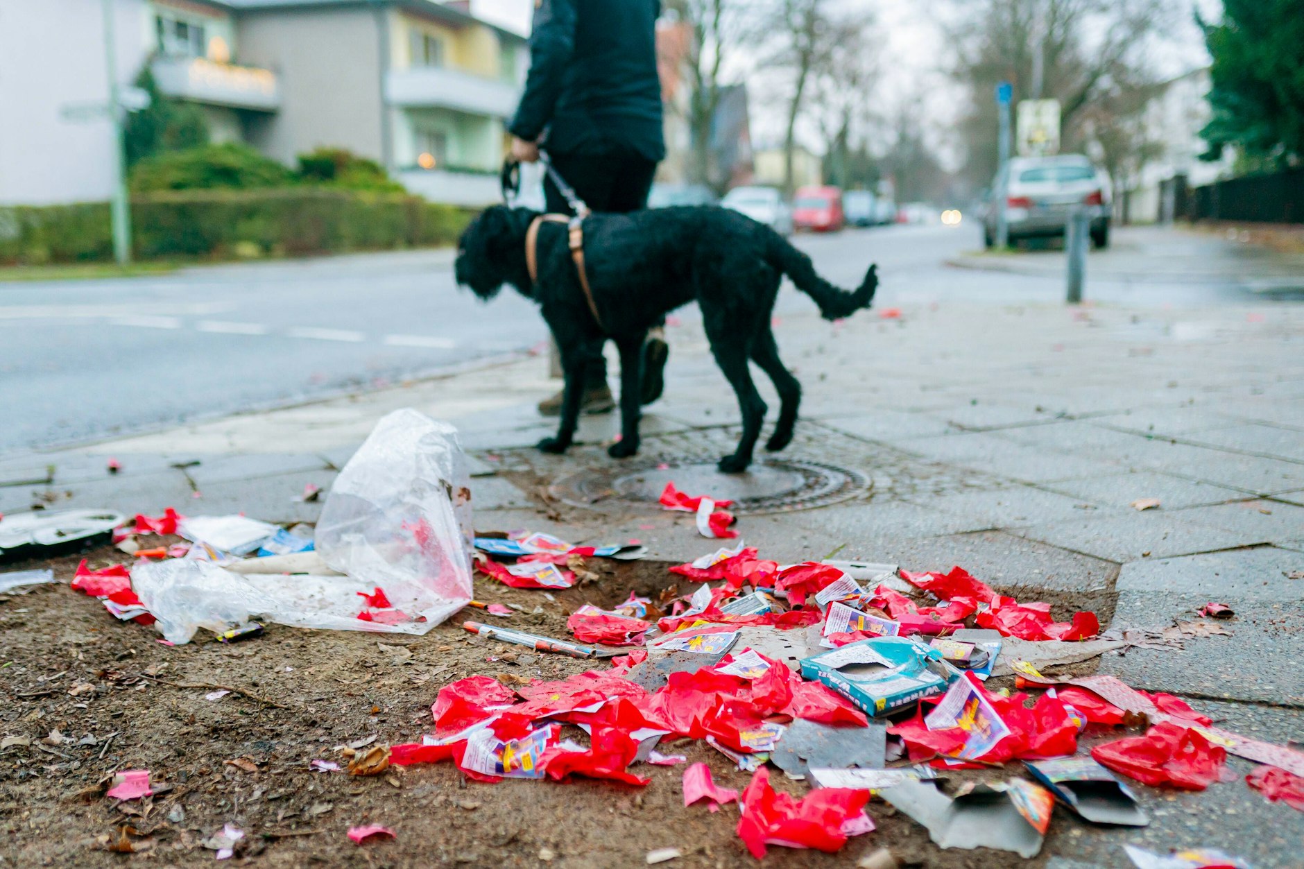 Auch die Tiere leiden zu Silvester. Das ist den Böller-Fans wohl egal.
