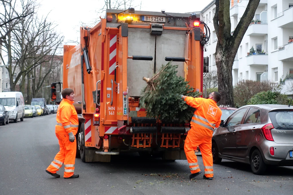 Berlin: Das sind die Abhol-Termine für die Weihnachtsbäume in den Bezirken