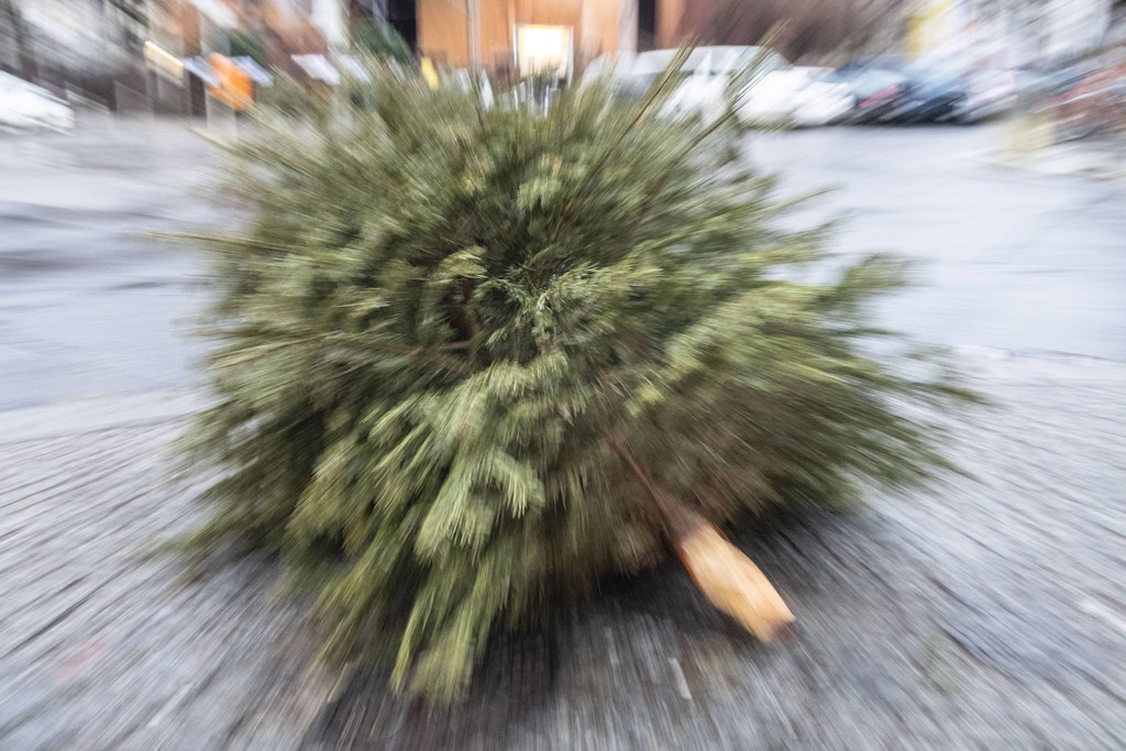 Berlin im Schwebezustand: Wenn festliche Ruhe auf Jahreswechsel-Chaos trifft