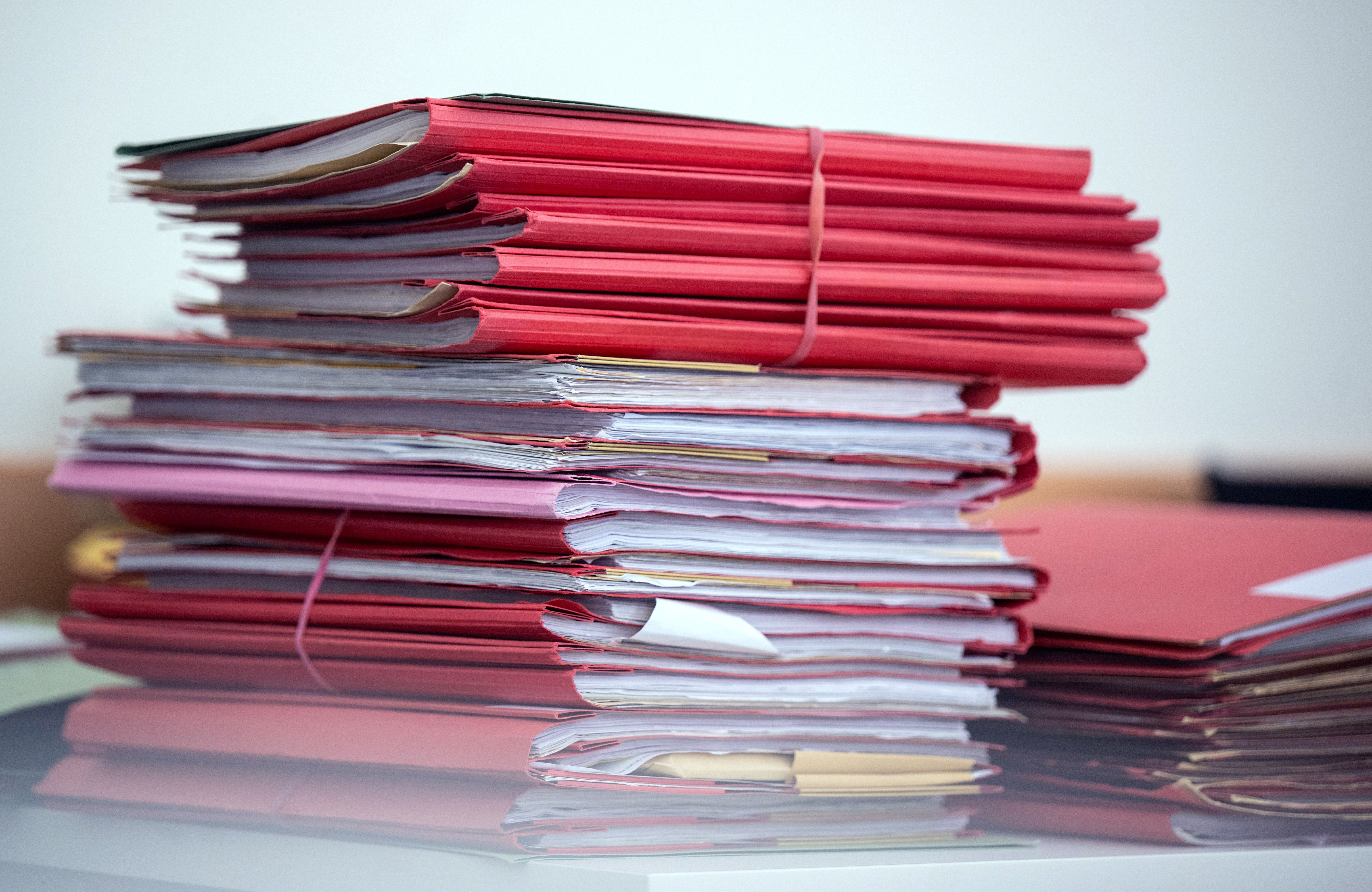 Berlin und der Sozialbetrug von Minnesota: Ein grundsätzliches Problem staatlicher Kontrolle