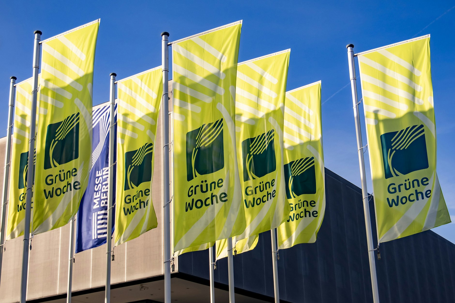 Fahnen der Grünen Woche vor der Messe in Berlin im Januar 2025