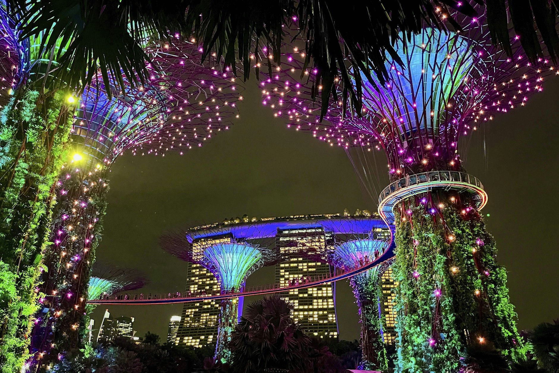 Zu schön, um wahr zu sein? Nein, die Gardens by the Bay in Singapur sind Realität und eine beliebte Touristenattraktion.