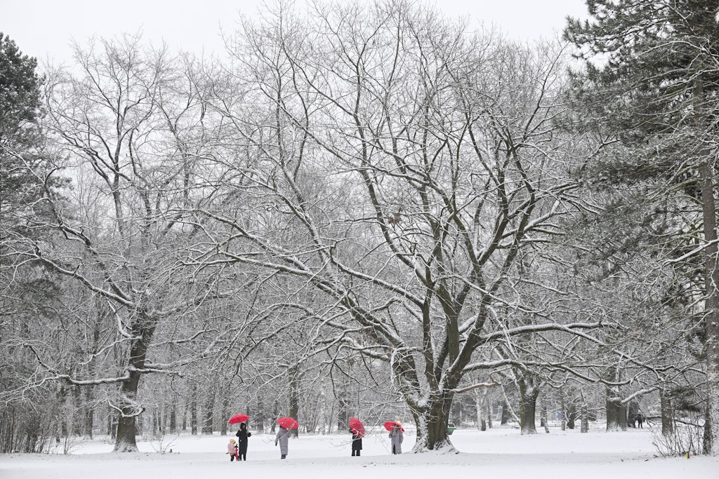 Wetter in Berlin aktuell: DWD warnt vor Glätte durch Schnee und Windböen