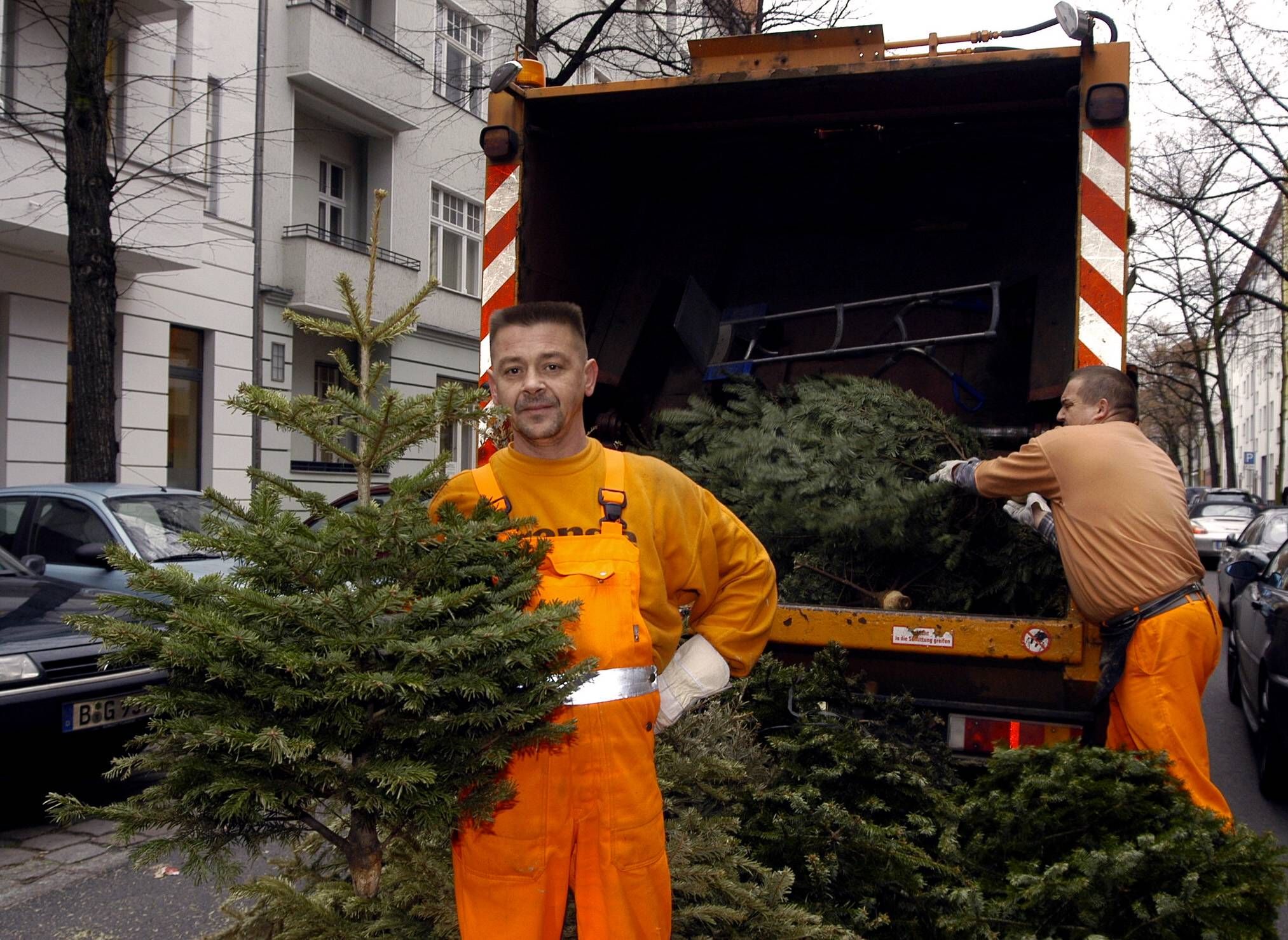An diesen Tagen sammelt die BSR Weihnachtsbäume ein