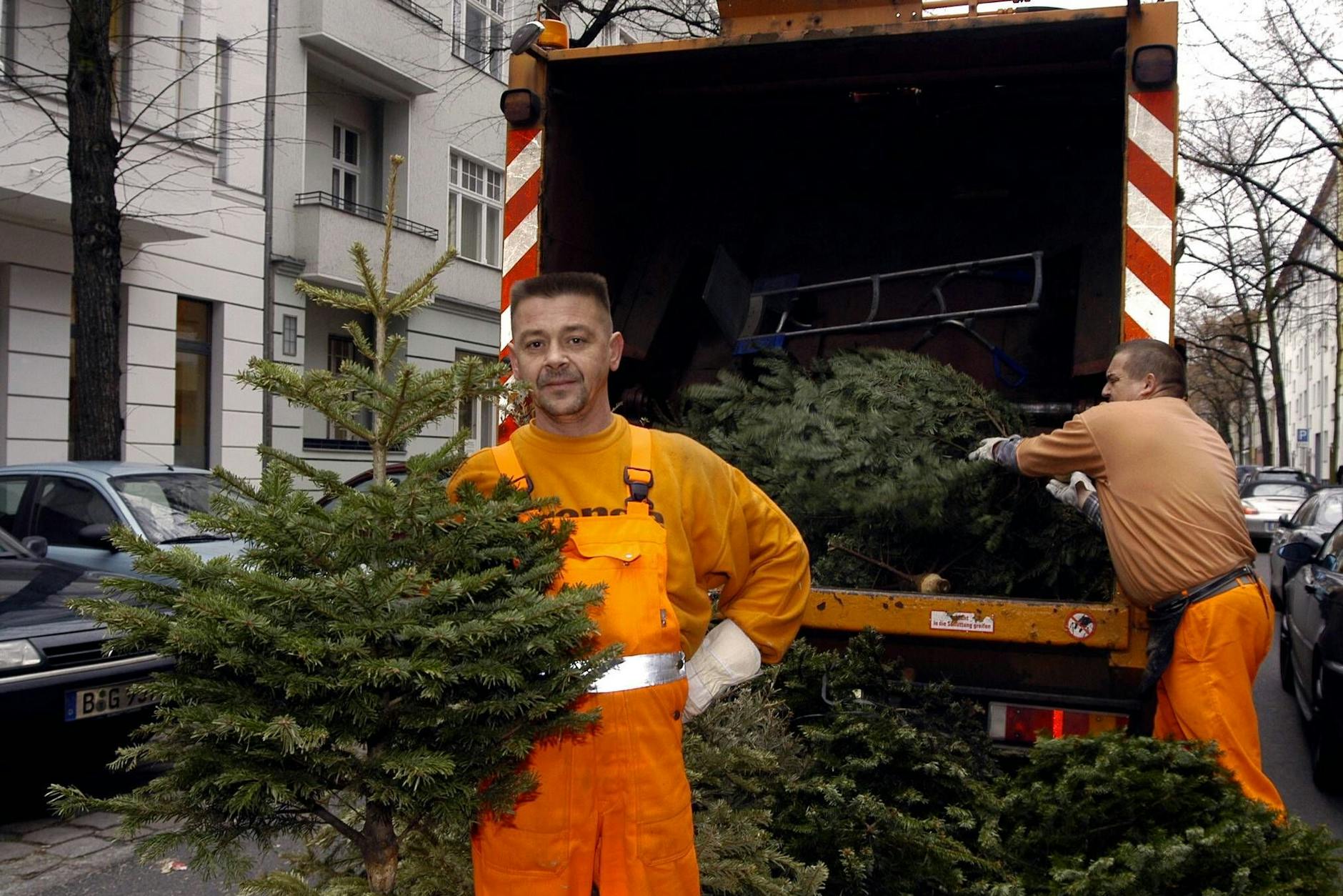 Vom 10. bis 24. Januar sammelt die BSR Weihnachtsbäume ein.