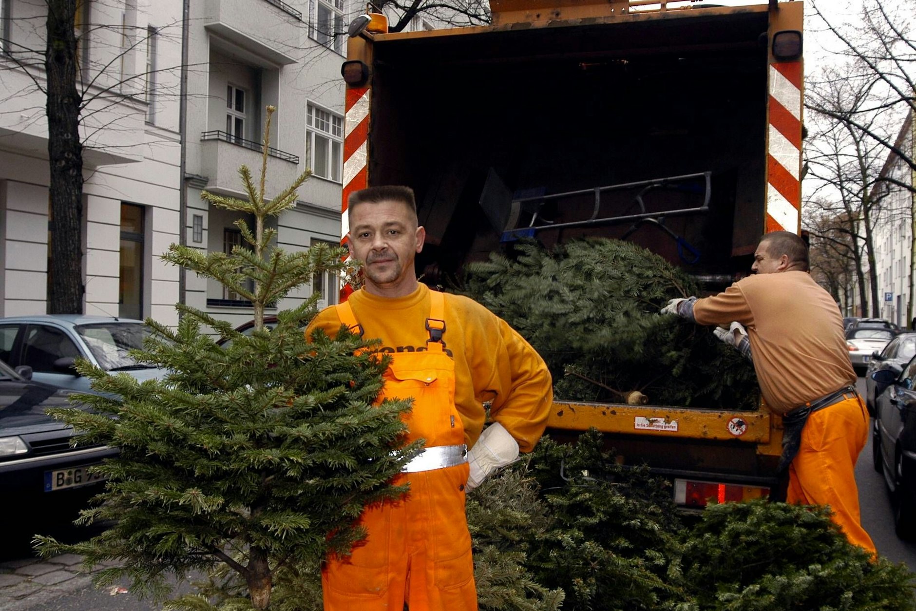 Vom 10. bis 24. Januar sammelt die BSR Weihnachtsbäume ein.