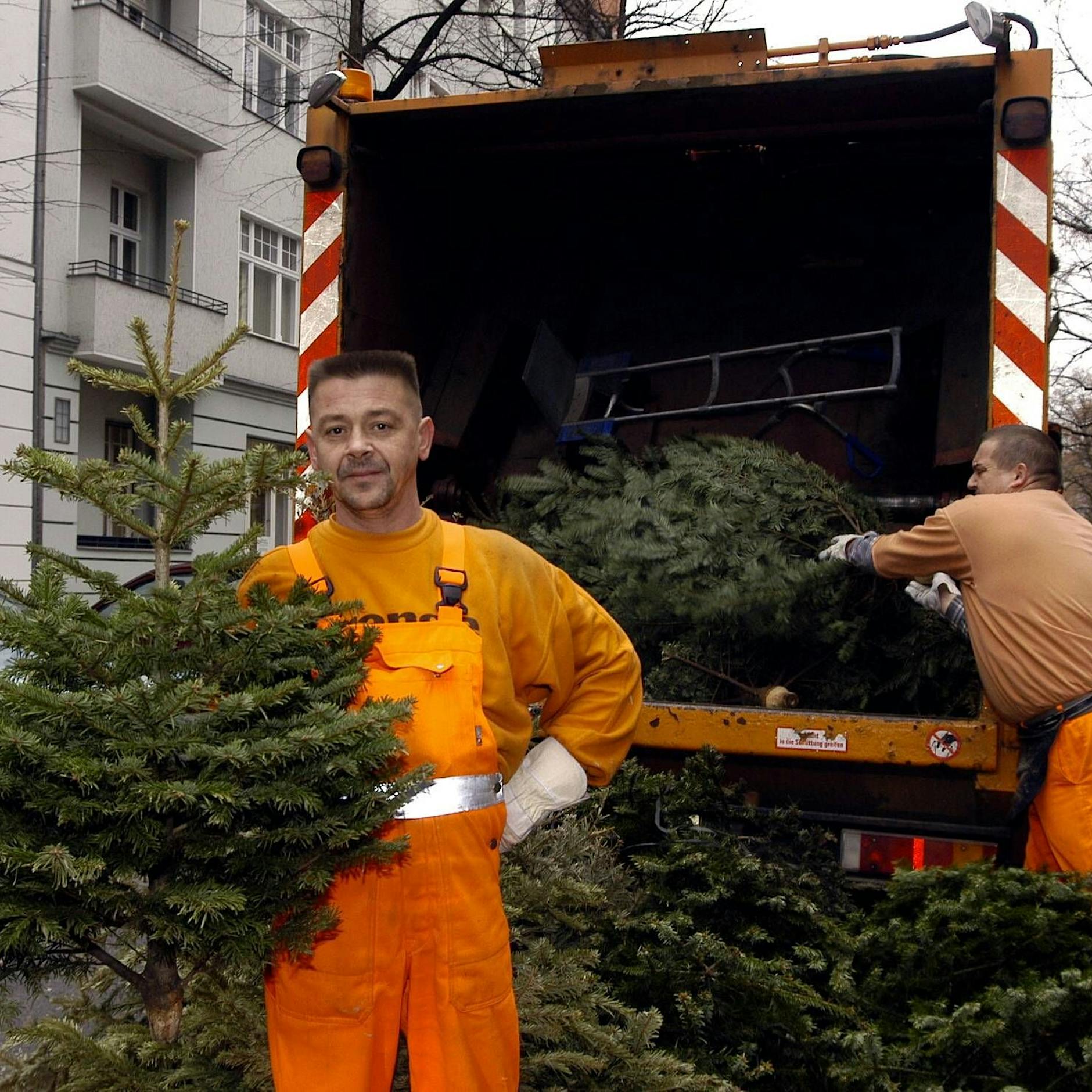 An diesen Tagen sammelt die BSR Weihnachtsbäume ein
