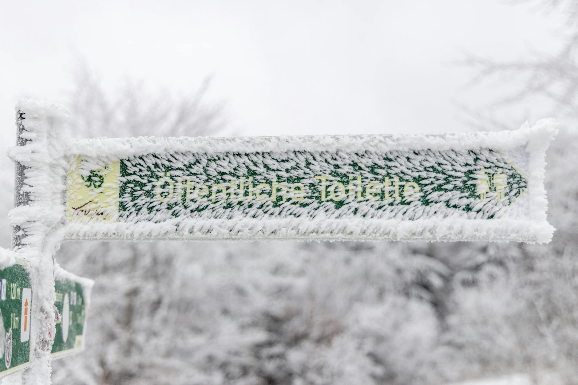 Sturm und Wind machen es draußen ungemütlich