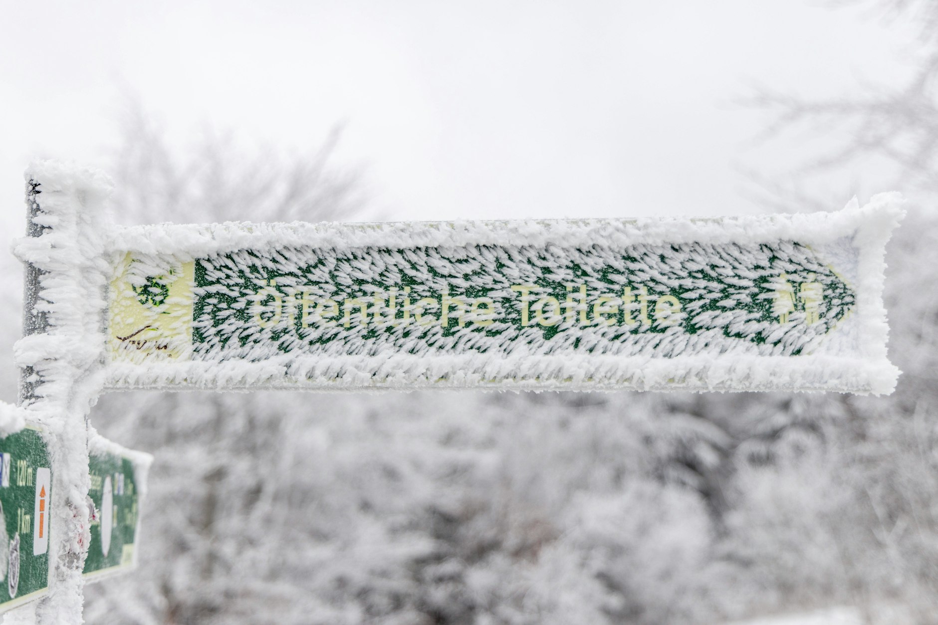 Sturm und Wind machen es draußen ungemütlich