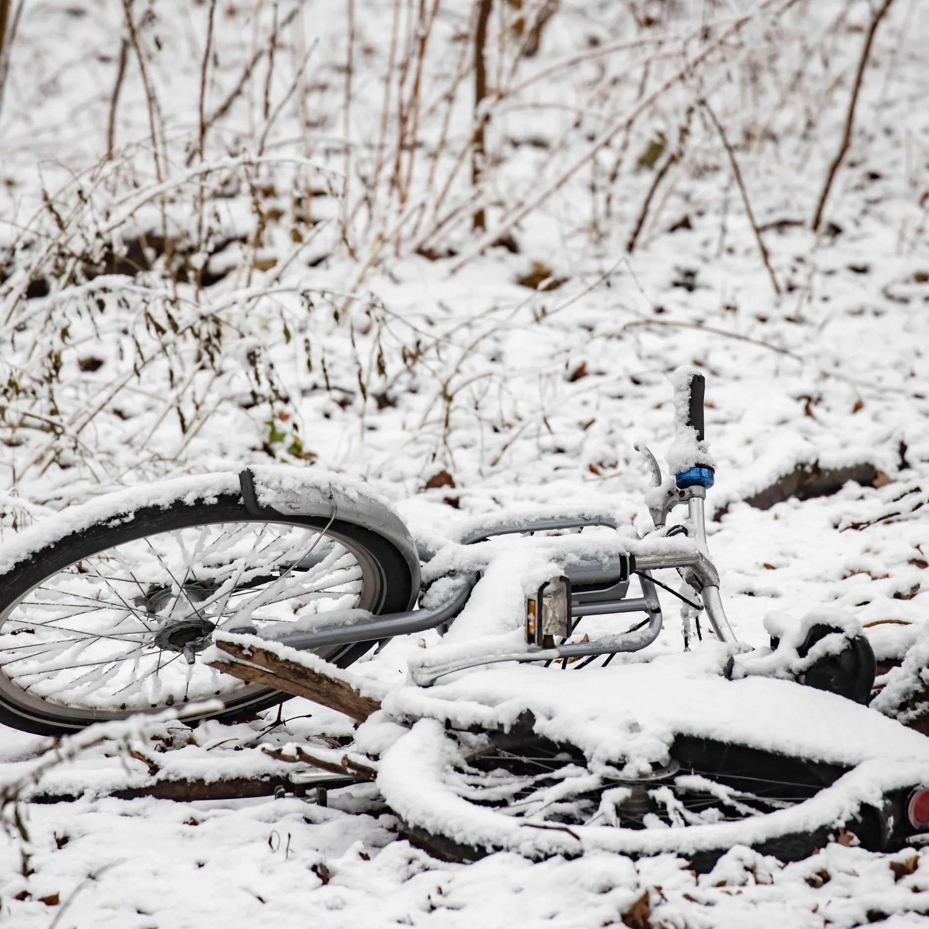 Image - Glatteis auf den Berliner Fahrradwegen: Ist Kreuzberg das neue Grönland? Fehlt nur noch der Eisbär am Späti
