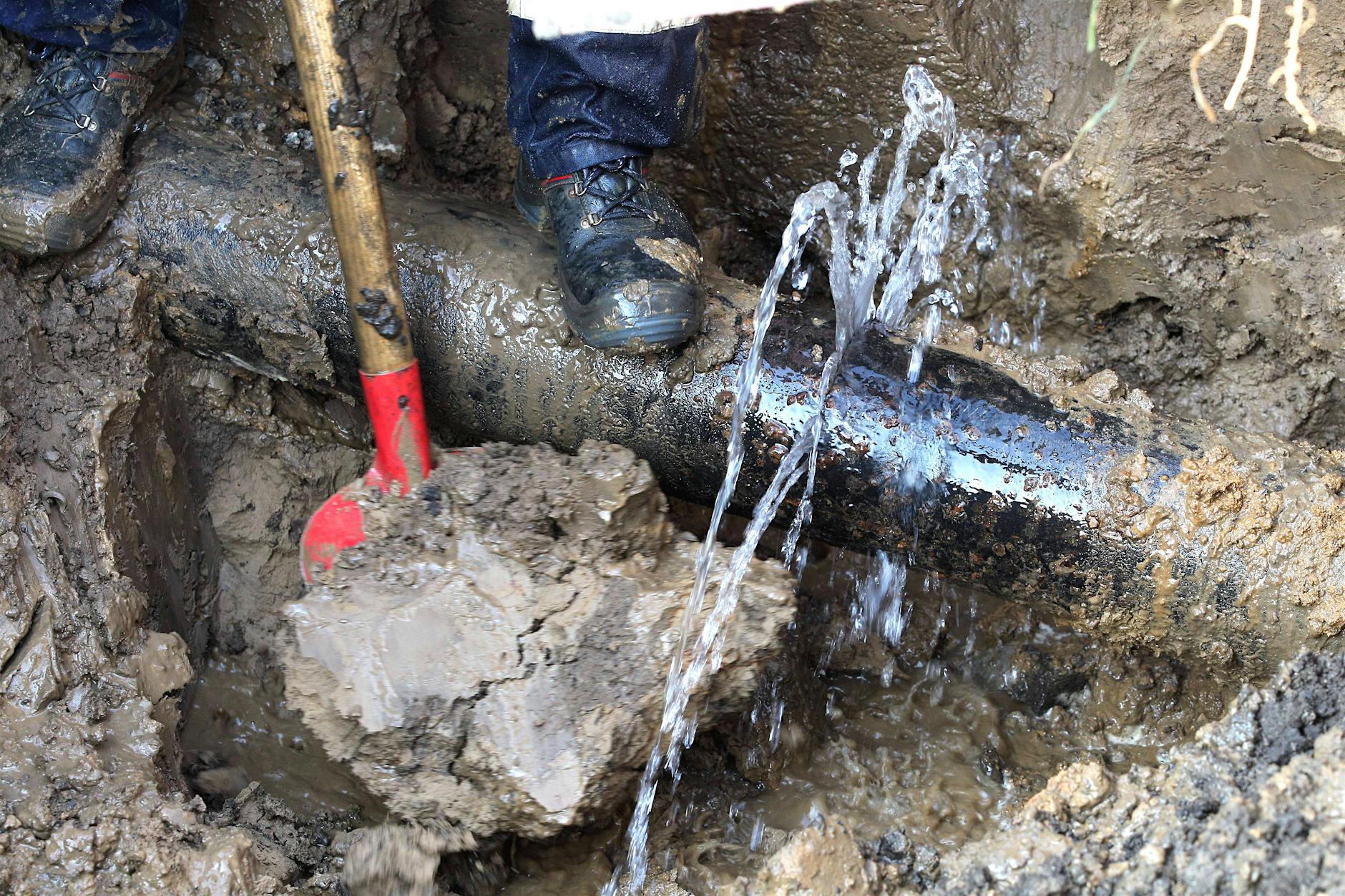 Die größte Gefahr des Stromausfalls lauert in den Hauswänden Zehlendorfs