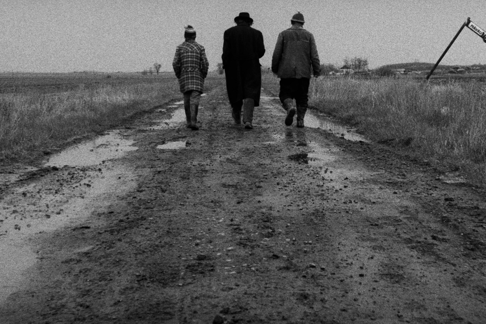 Der Film „Sátántangó“ erreichte in Berlin ein breites Publikum.