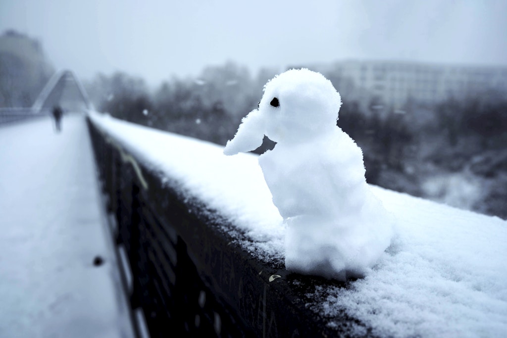 Wenn Freude und Tragödie in Berlin nah beieinanderliegen: Der Schnee ist doch schön! Ist der Schnee…