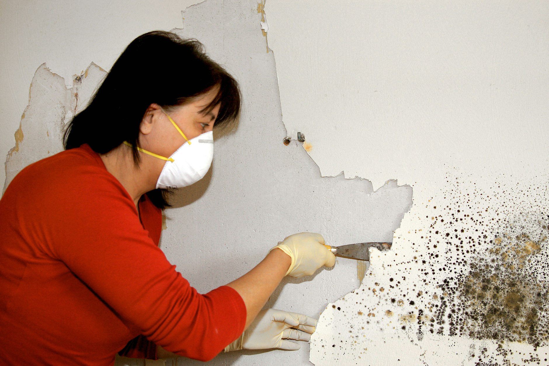 Schimmel an der Wand: Nach ausgekühlten Wohnungen wächst bei vielen die Sorge vor Folgeschäden. (Symbolbild)