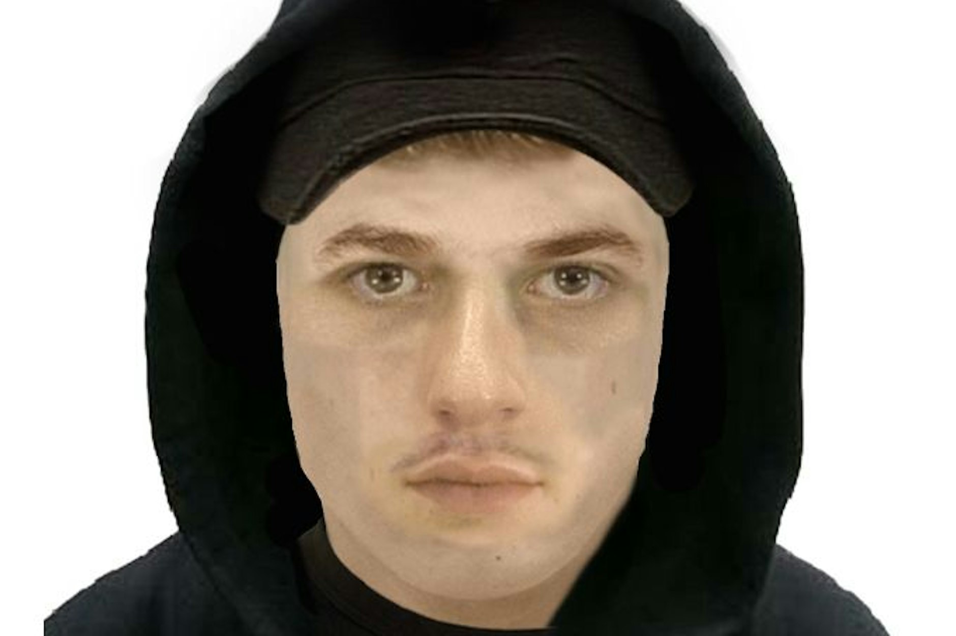 Das Phantombild des Vergewaltigers, der „Lulu“ genannt wird.