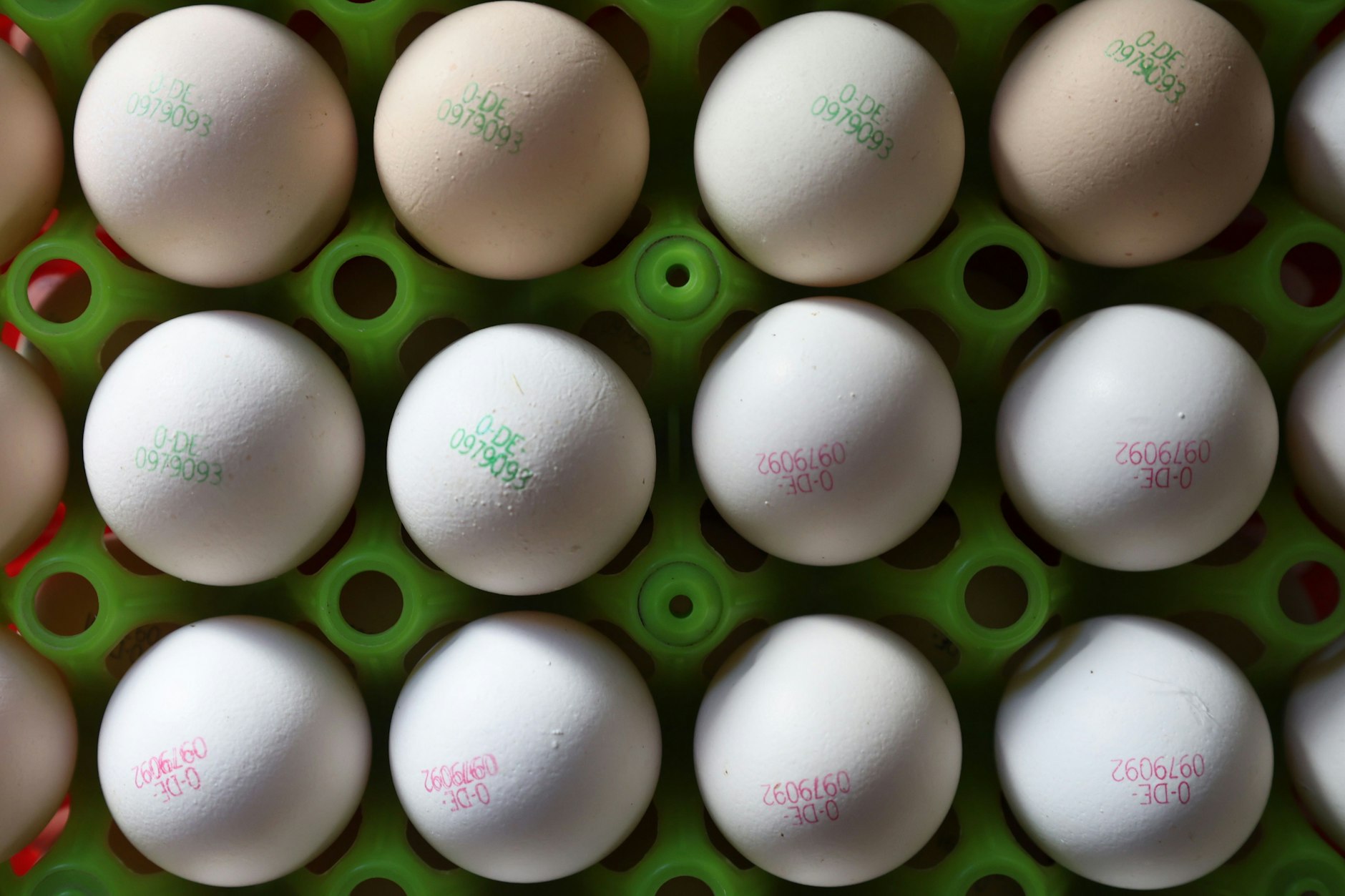 Von der Henne im Stall bis zum Supermarktregal: Die Folgen der Vogelgrippe spüren Verbraucher jetzt im Geldbeutel.
