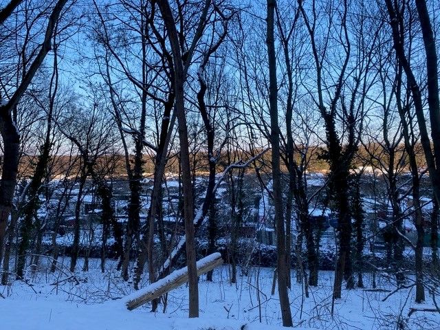 Geheimtipp: Grönland und die Oderbruchkippe