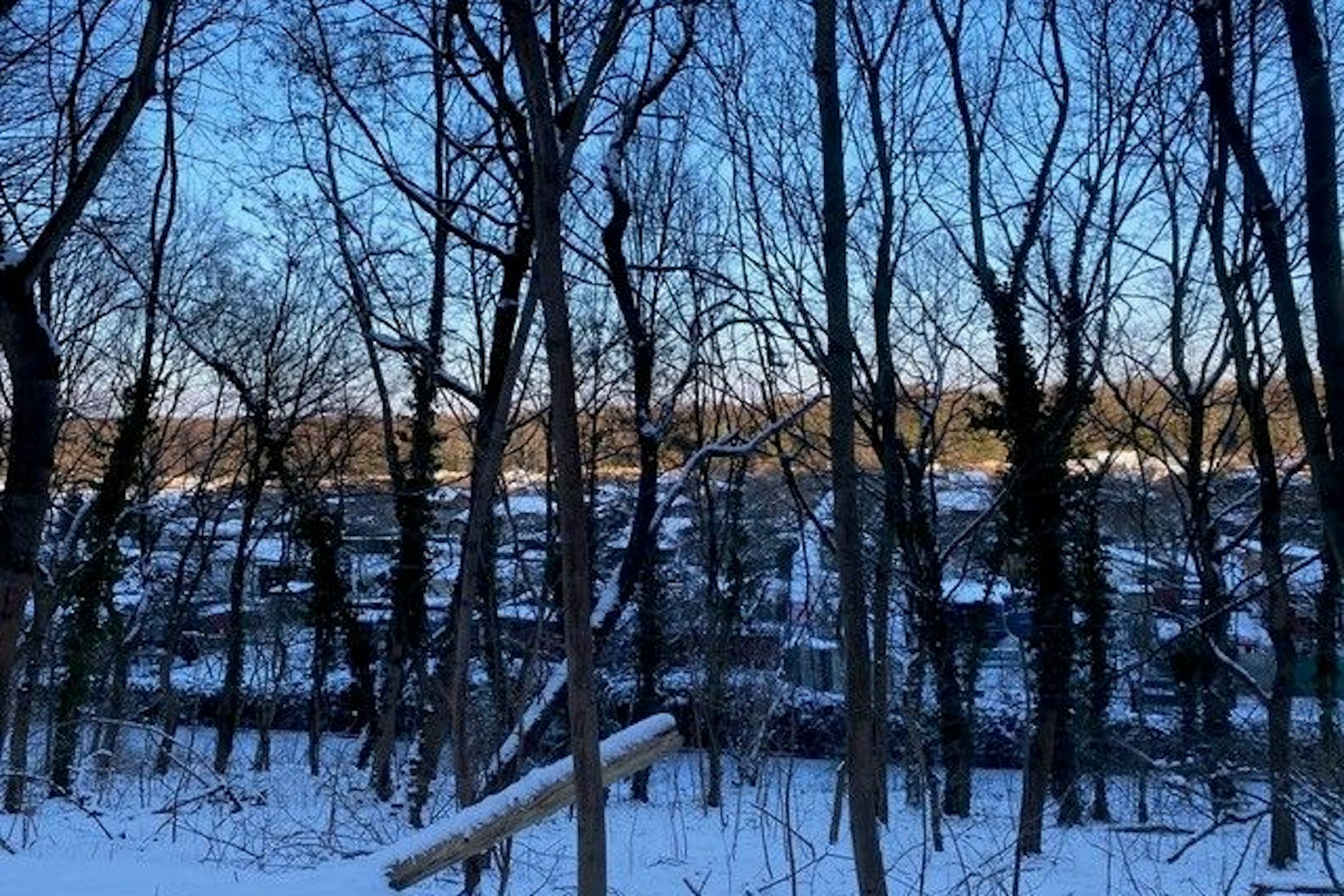 Kleingartenkolonie „Grönland“